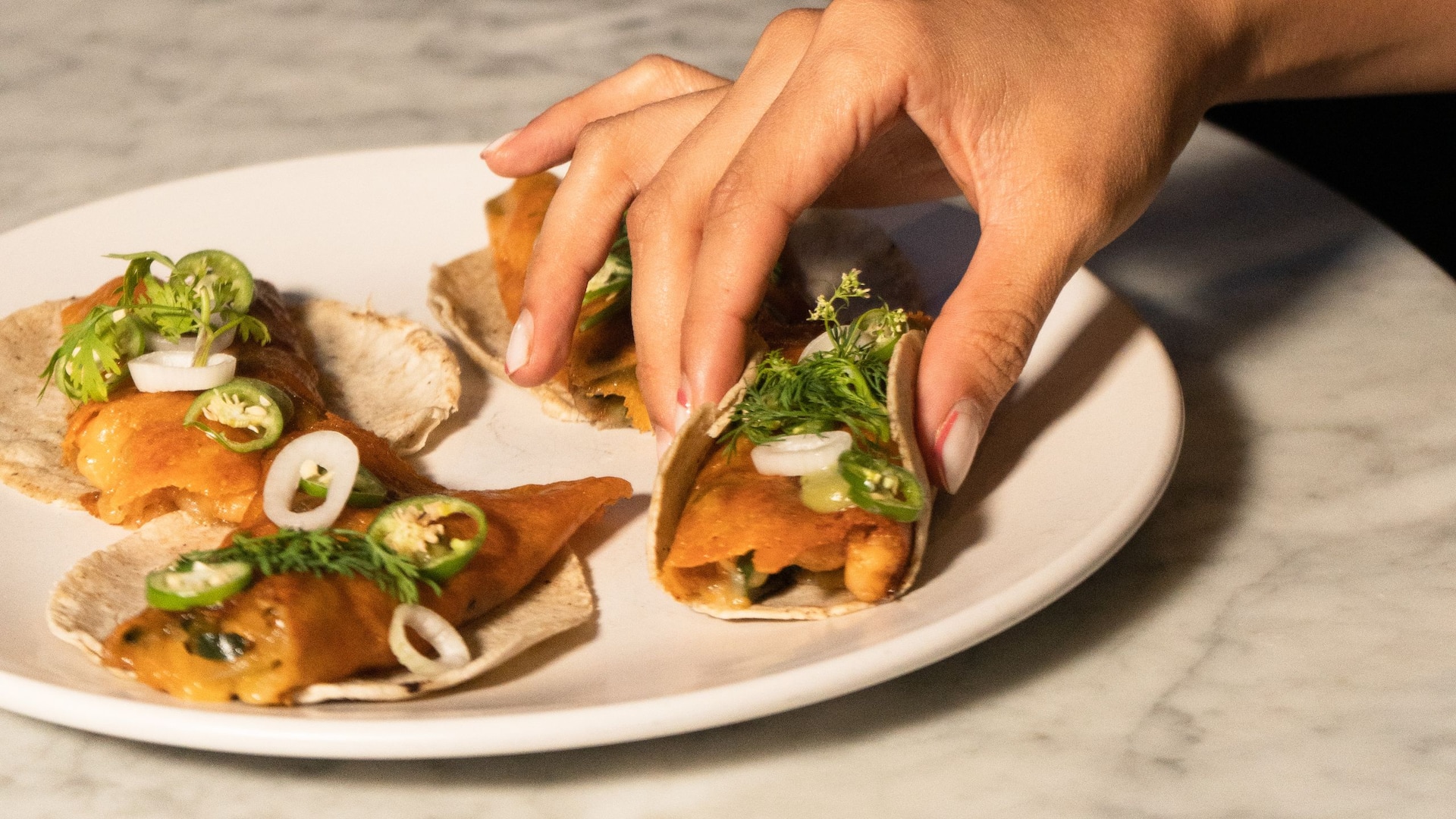 Hyatt Regency Andares Guadalajara Andares Lounge Taco Night