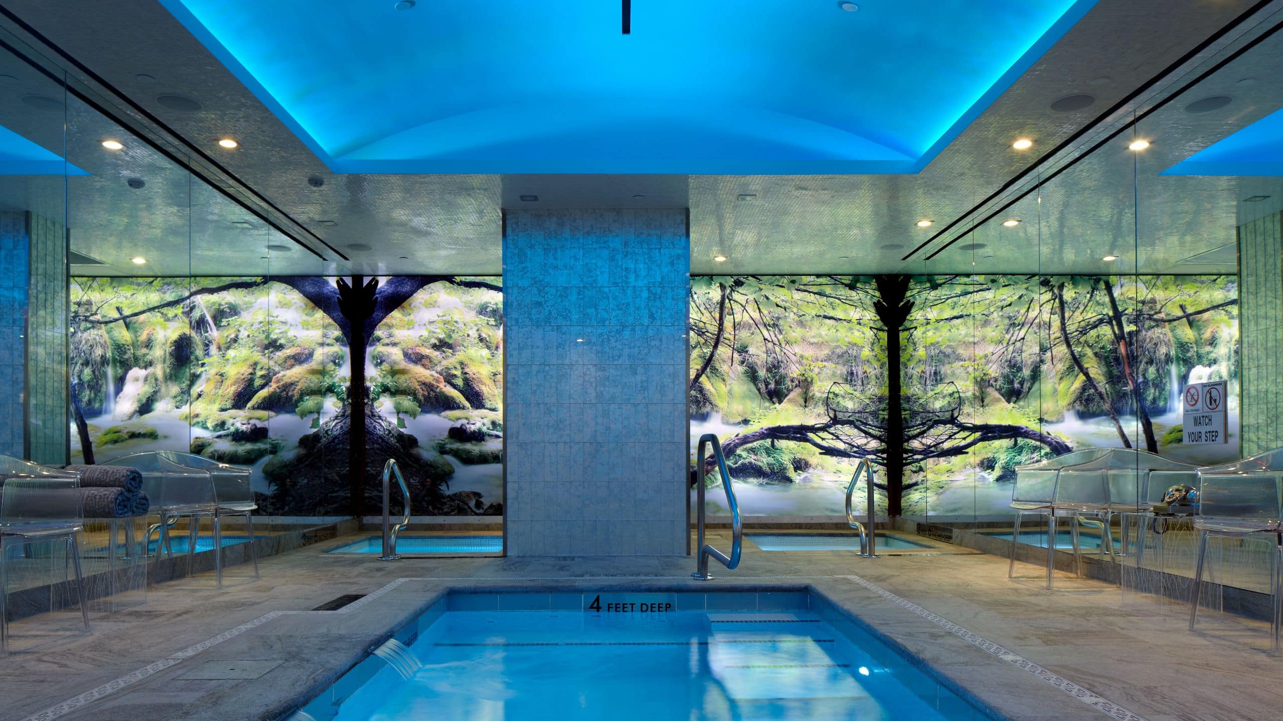 The Chatwal Wellness Center Infinity Pool