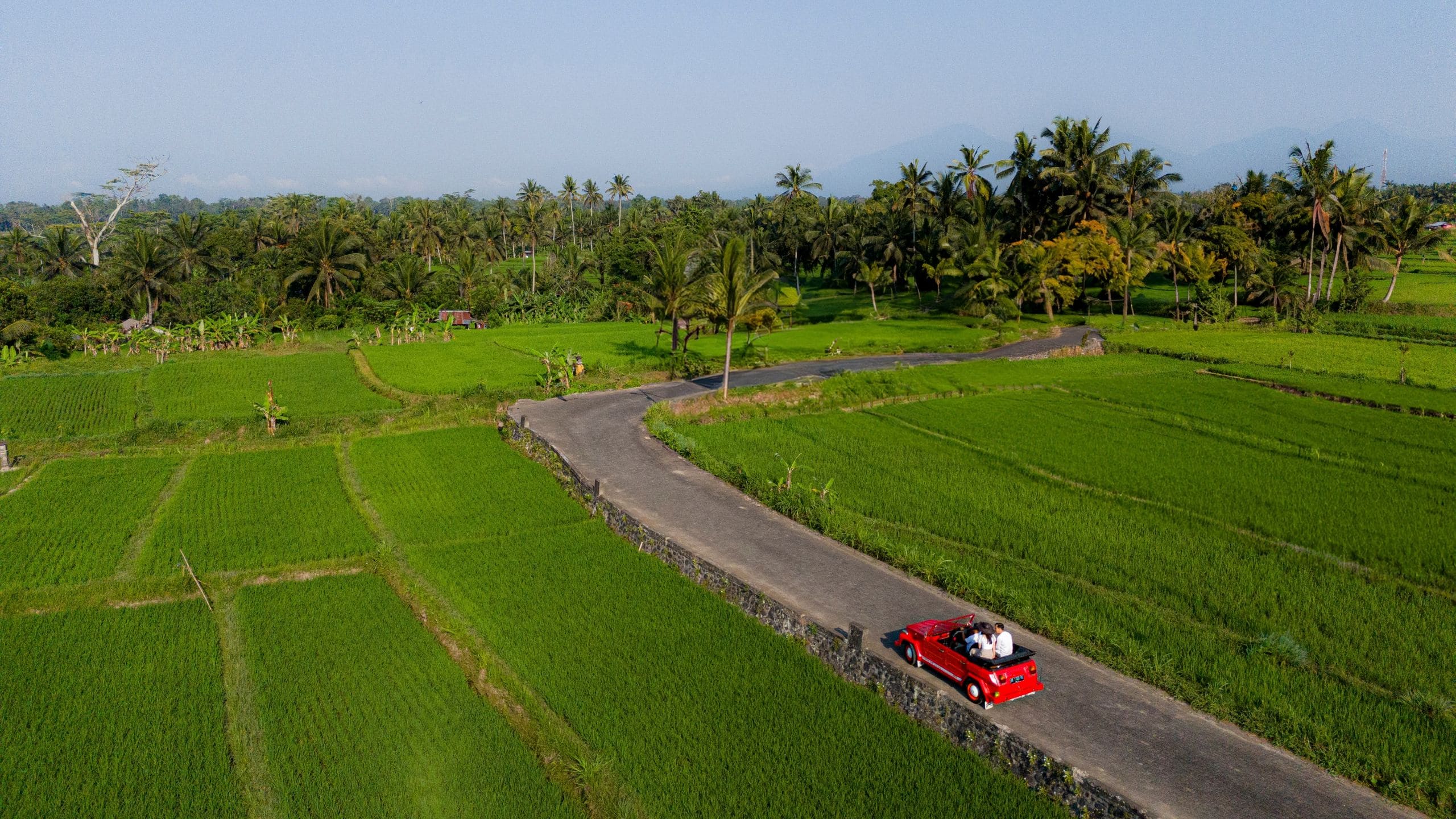 Alila Ubud Convertible Jungle View