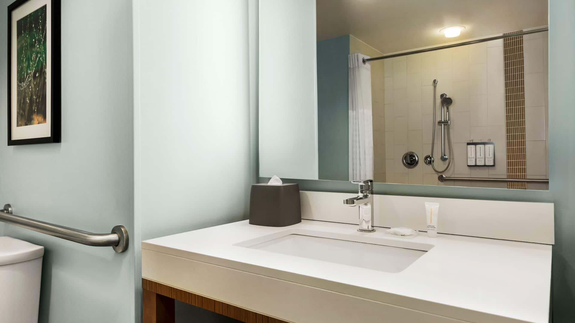 第 3，共 4 Hyatt Place Columbia/Downtown/The Vista Accessible Bathroom Roll In Shower