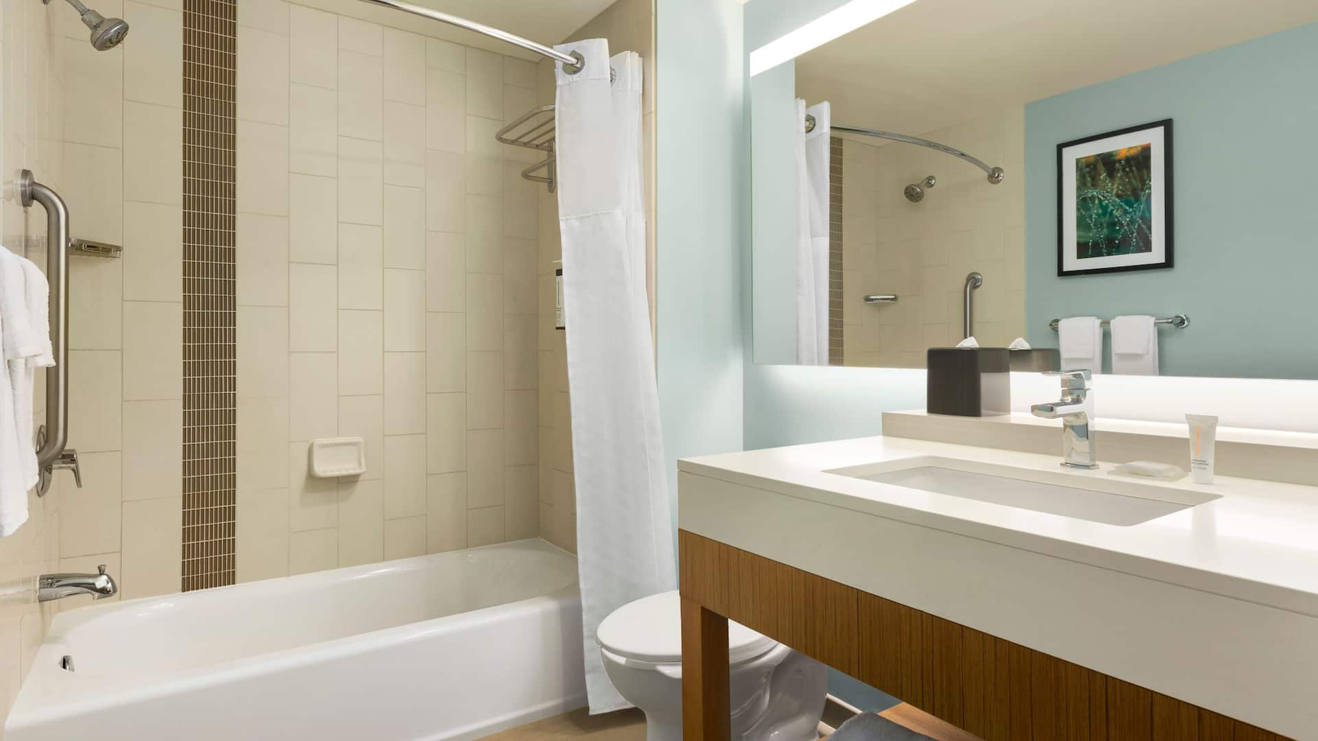 第 5，共 5 Hyatt Place Columbia/Downtown/The Vista Standard Bathroom Bathtub