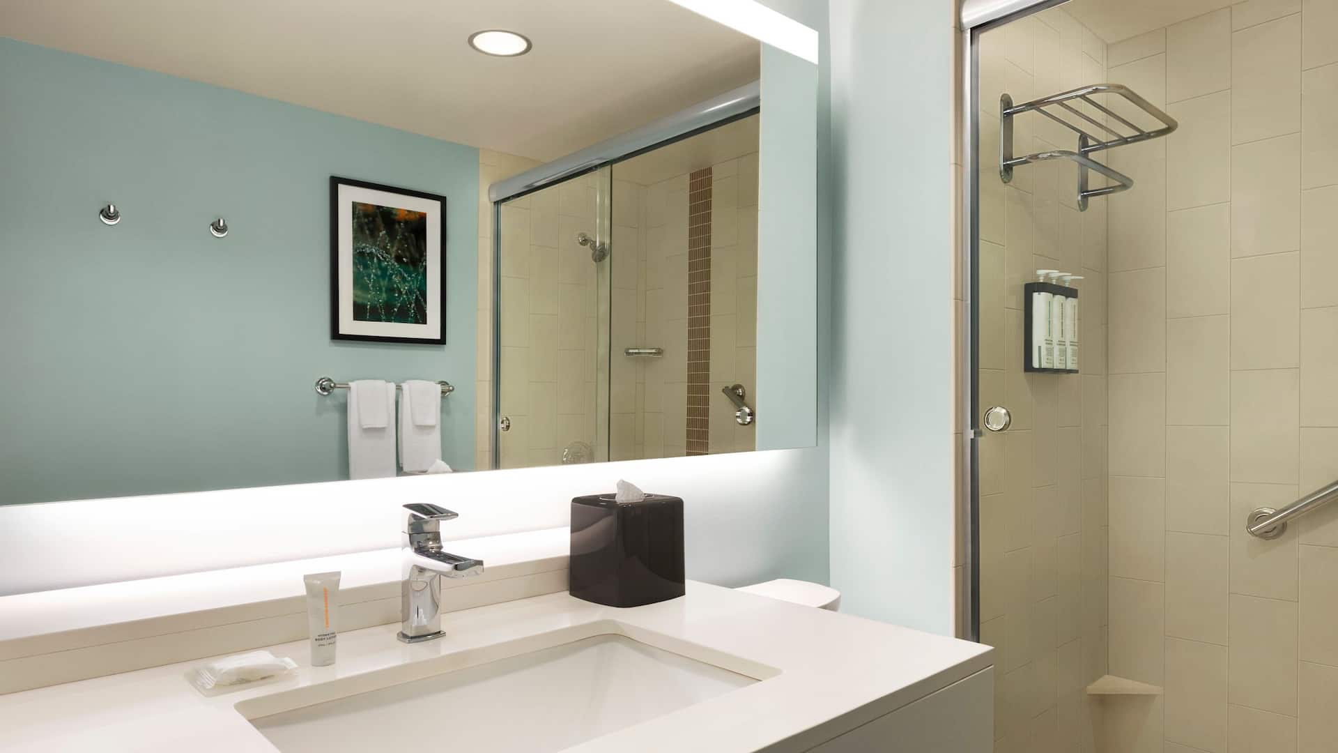 第 4，共 4 Hyatt Place Columbia/Downtown/The Vista Standard Bathroom Shower