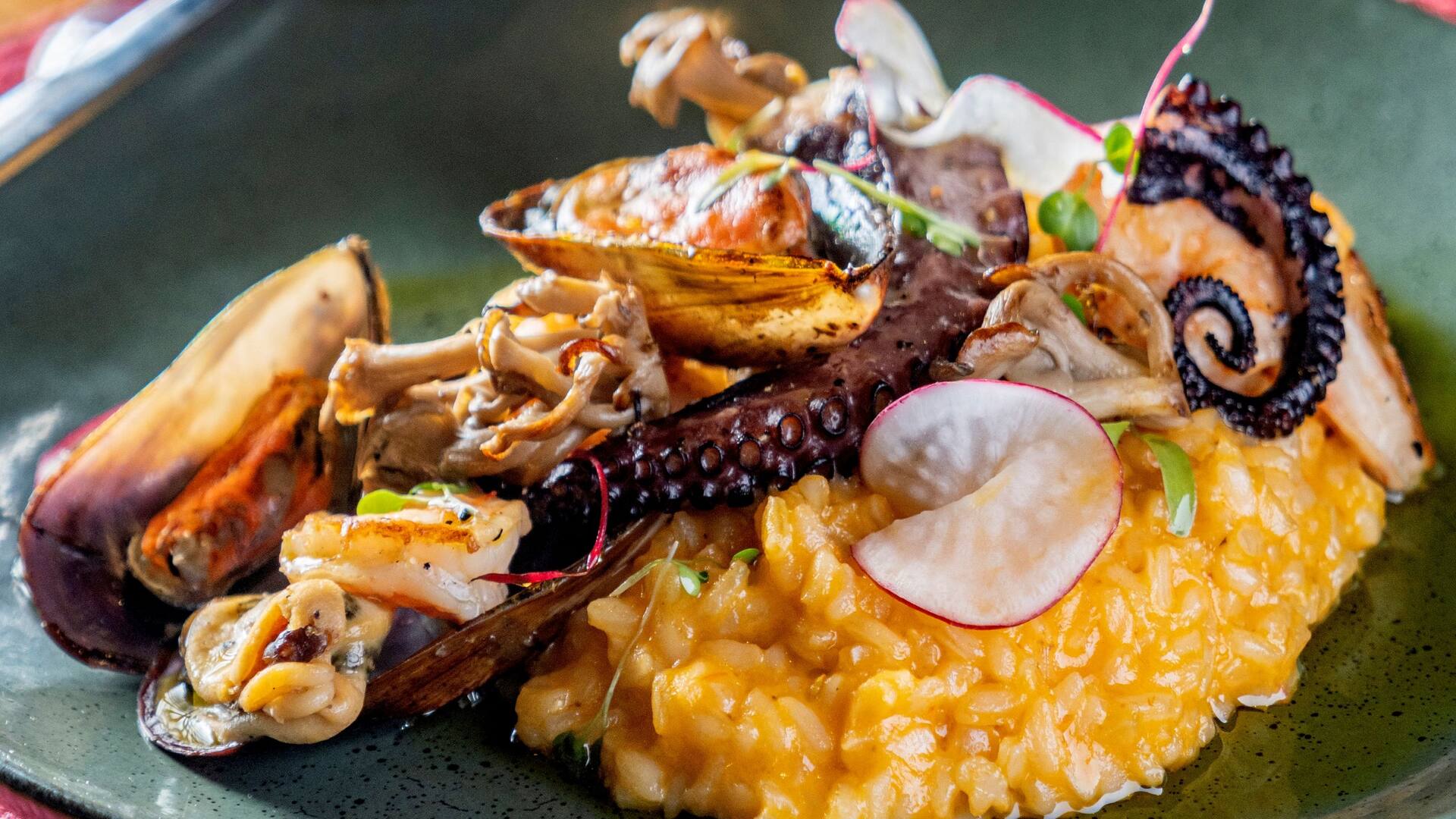 Hyatt Place Sao Jose do Rio Preto Seafood Menu