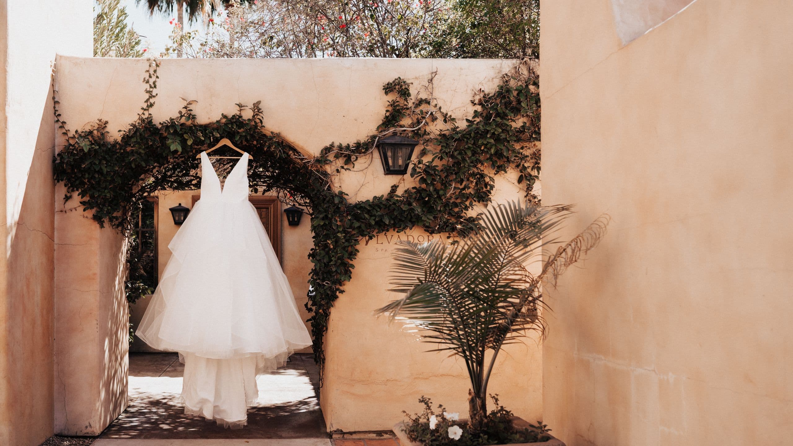 Royal Palms Resort and Spa Hanging Wedding Dress Detail