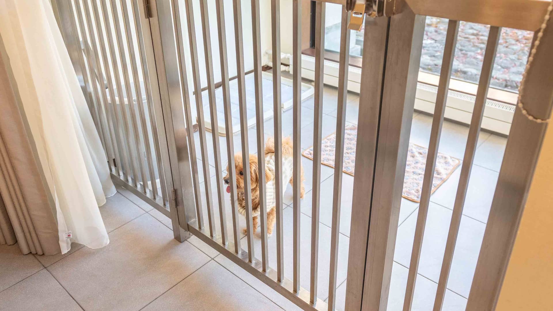 第 3，共 5 Hyatt Regency Hakone Resort and Spa Dog Friendly Guestroom Crate Area