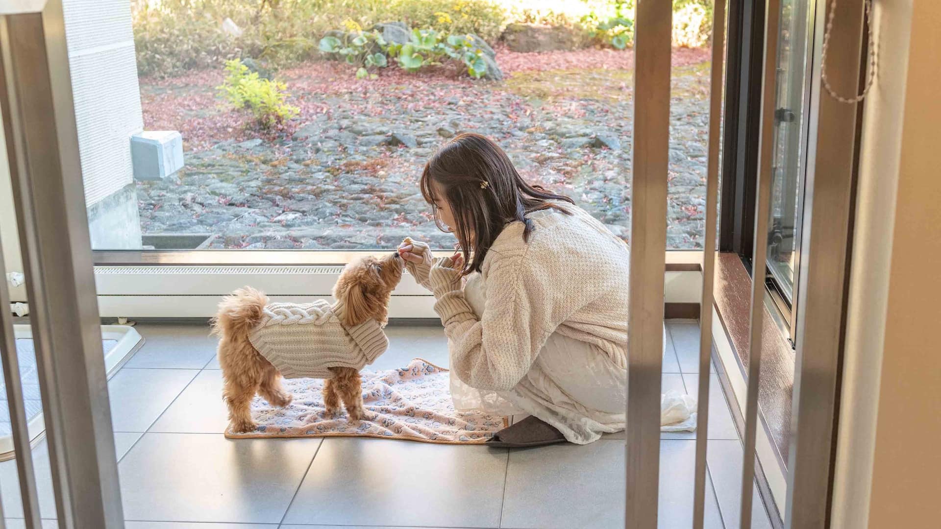 Hyatt Regency Hakone Resort and Spa Dog Friendly Guestroom Dog Crate Area