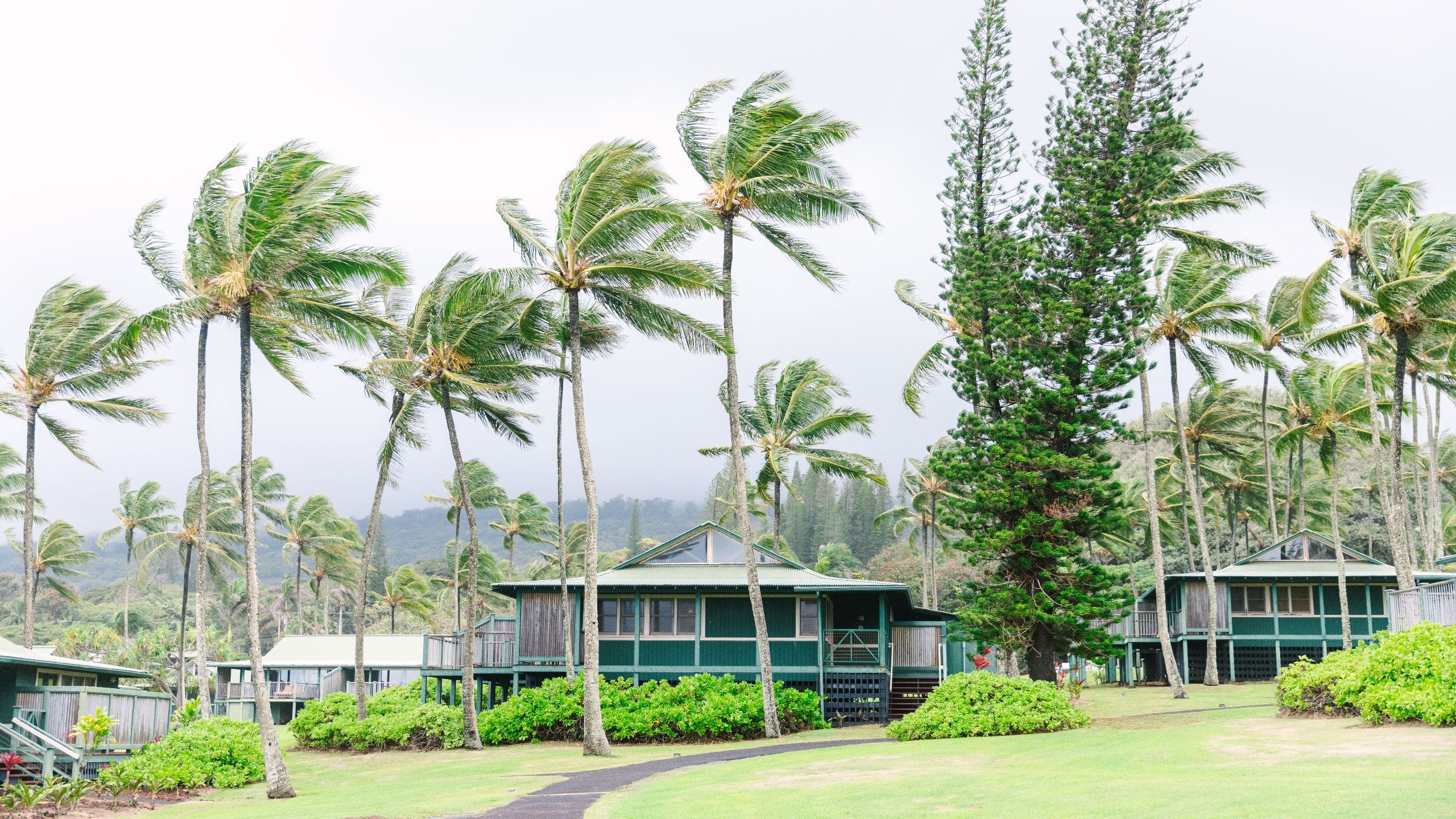Hana-Maui Resort Ocean Front Bungalows