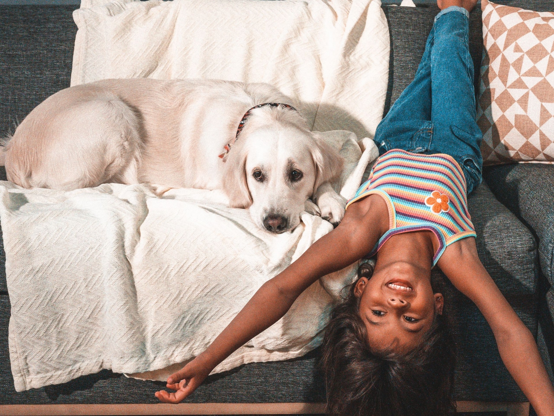 Hyatt Place Manatí Girl With The Dog On The Sofa Bed