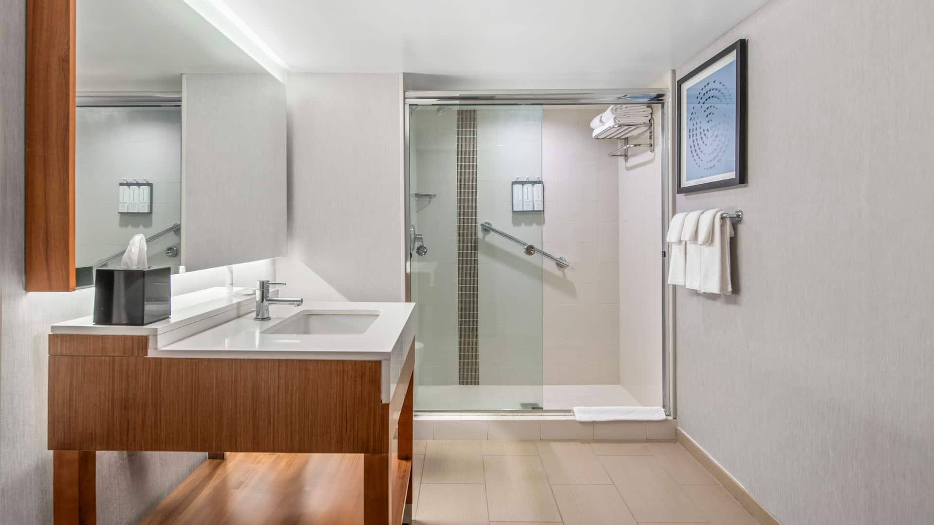 第 5，共 5 Hyatt Place Phoenix/Chandler-Fashion Center Balcony Suite Bathroom Walk In Shower