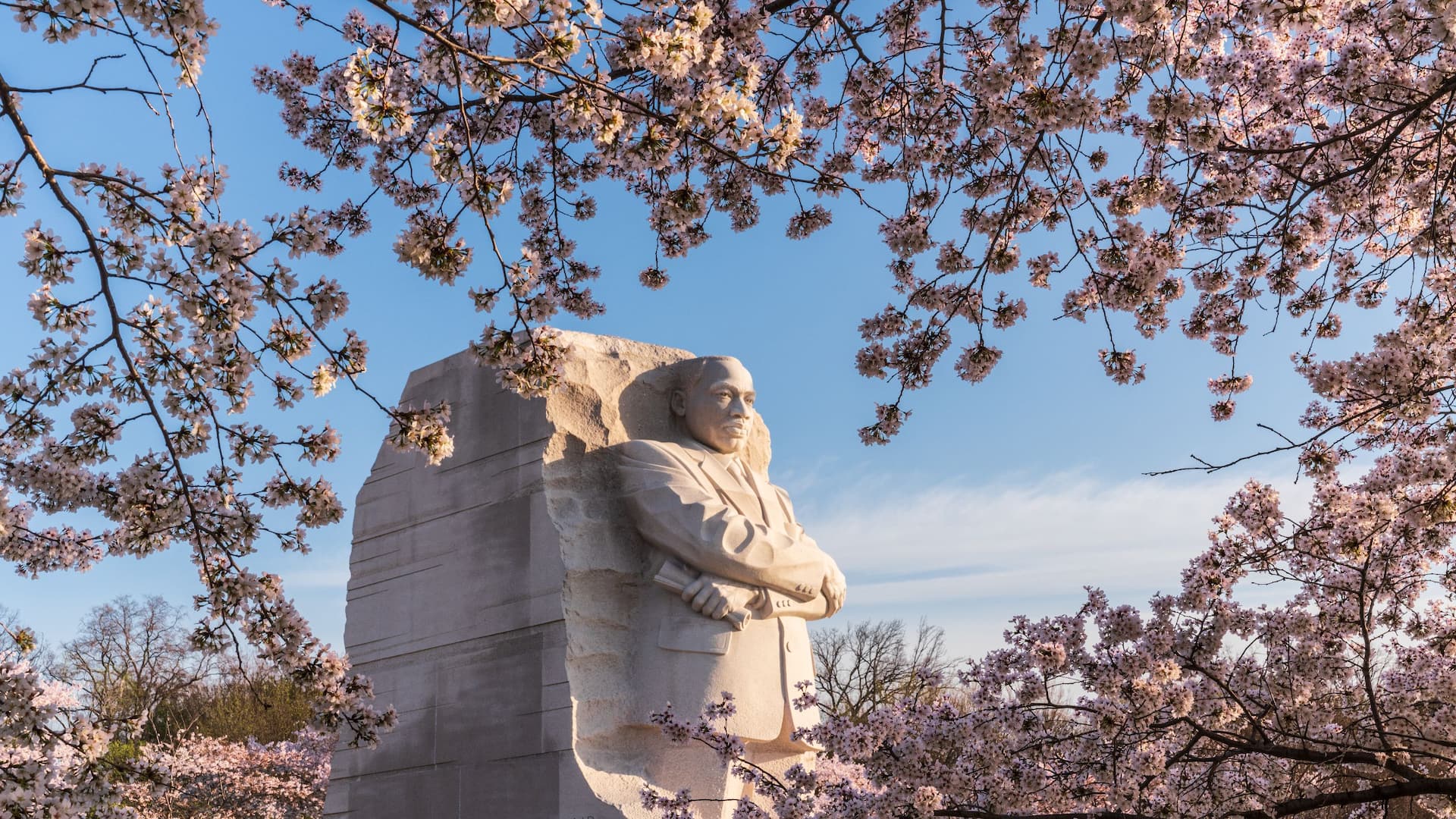 Grand Hyatt Washington Statue Blossoms