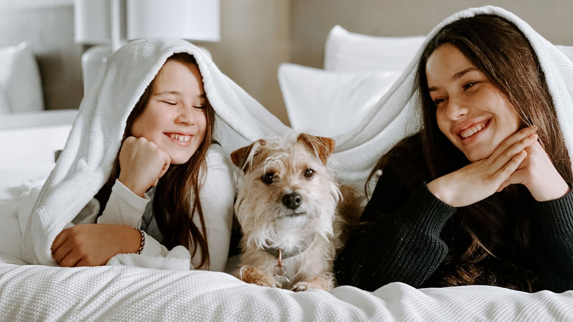 Hyatt House Pleasanton Girls Dog On Bed