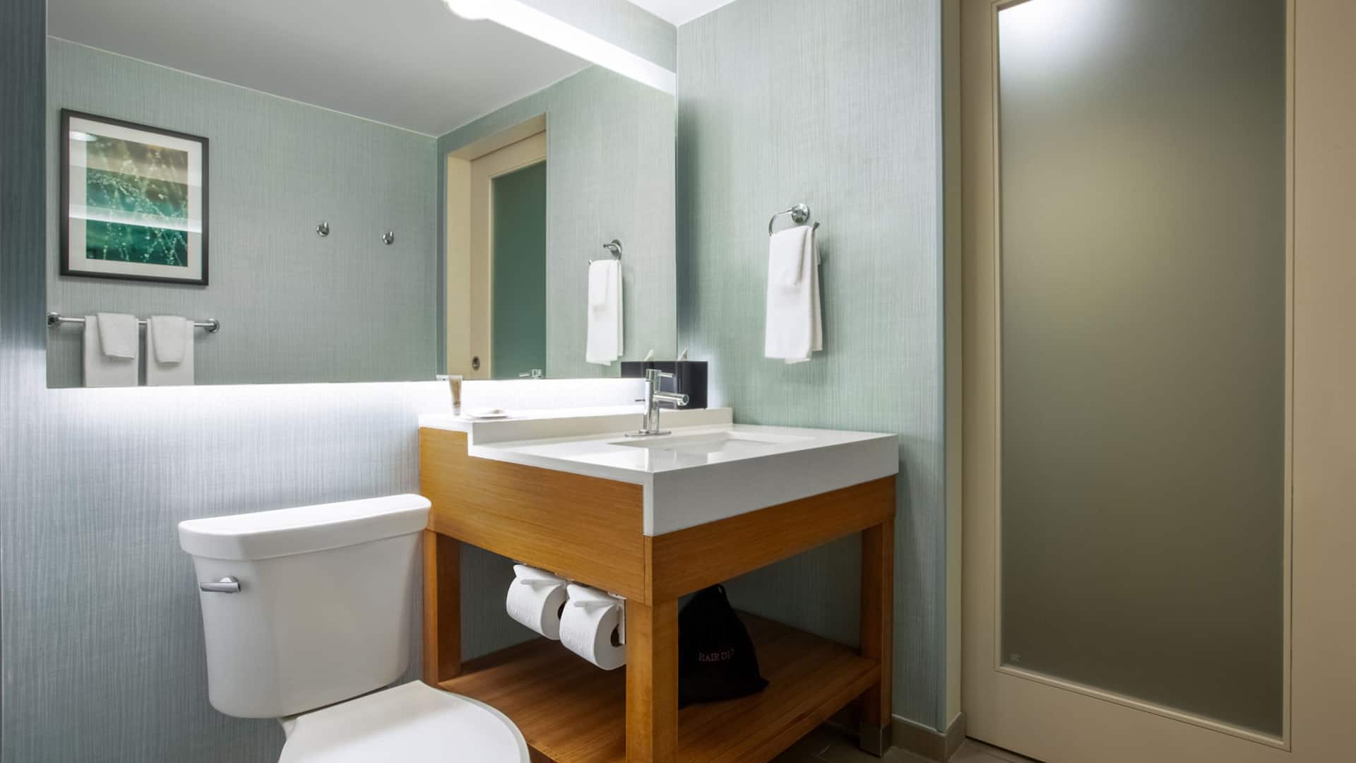 4 de 4 Hyatt Place Austin Airport Standard Bathroom King Or Dqueen 2