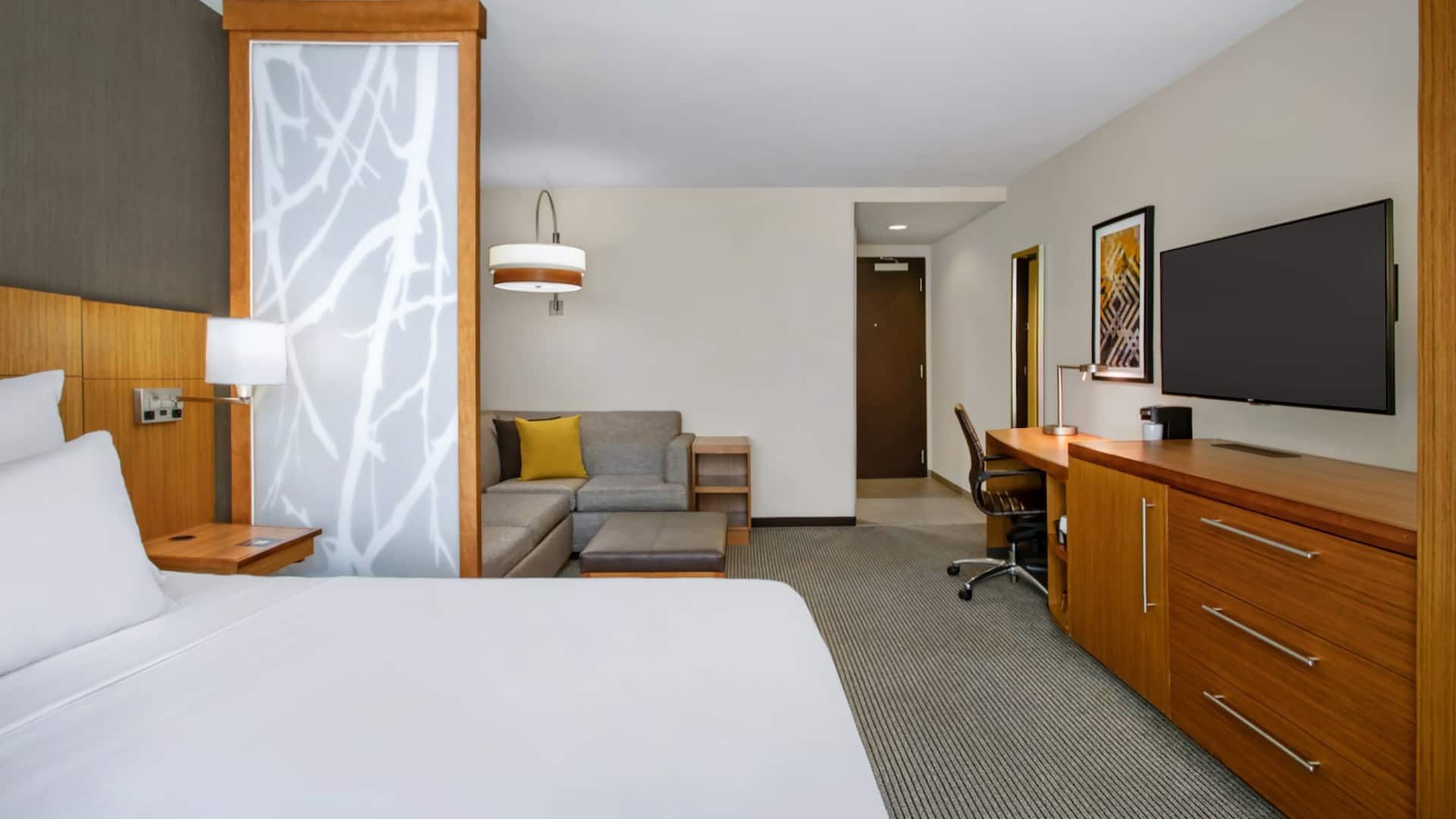 Hyatt Place Austin Airport Standard King