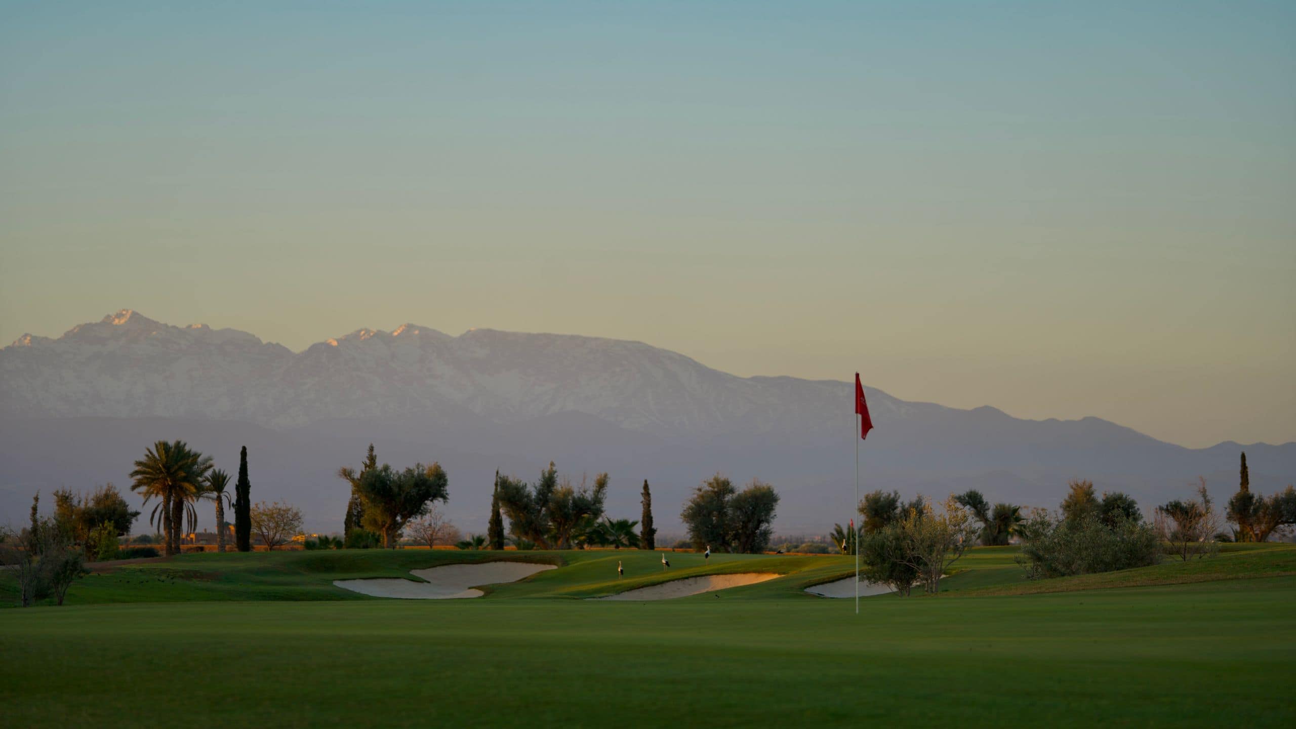 Park Hyatt Marrakech Al Maaden Golf Course Green