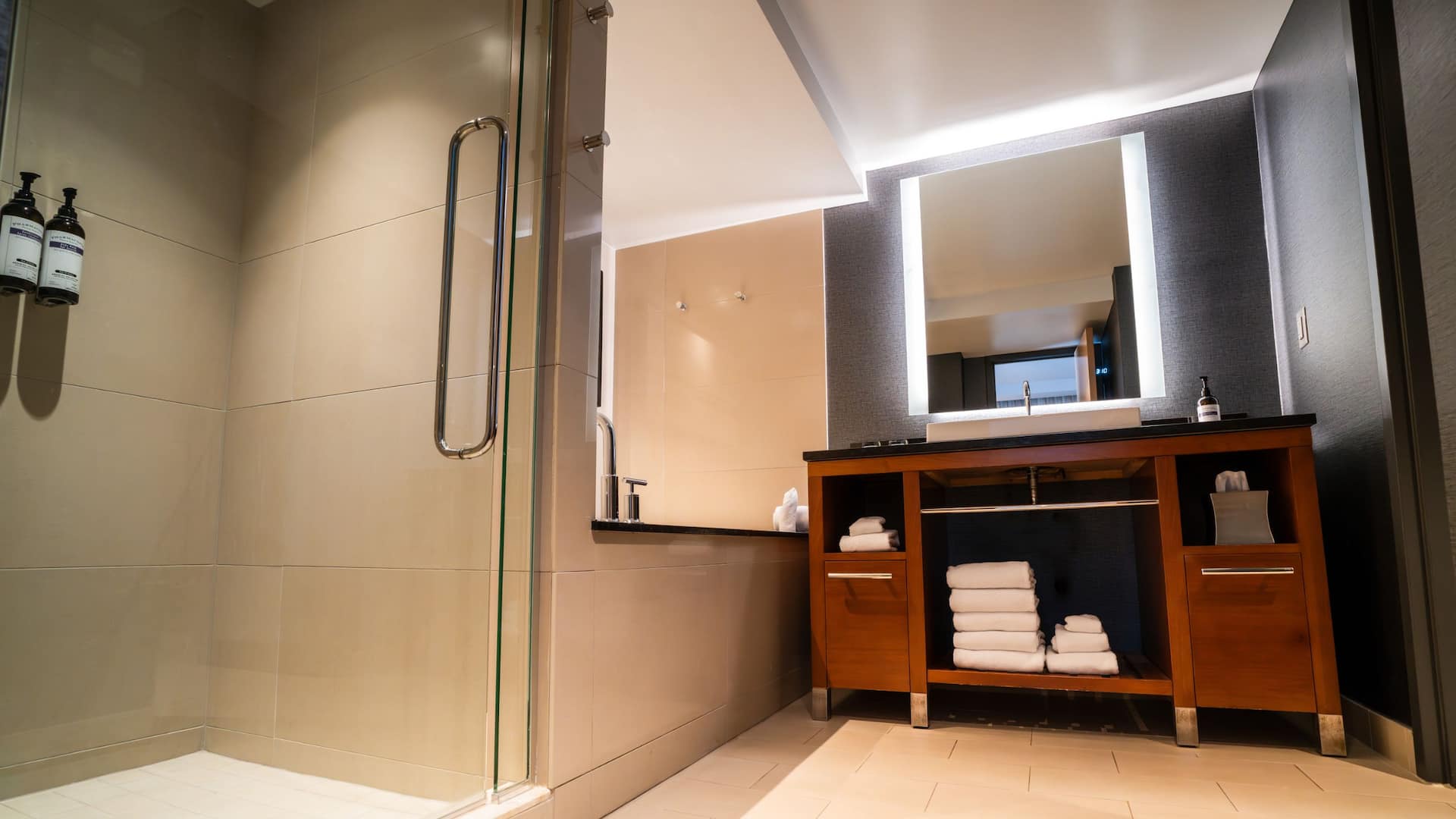 第 8，共 15 Hyatt Regency Crystal City at Reagan National Airport Diplomat Suite Bathroom