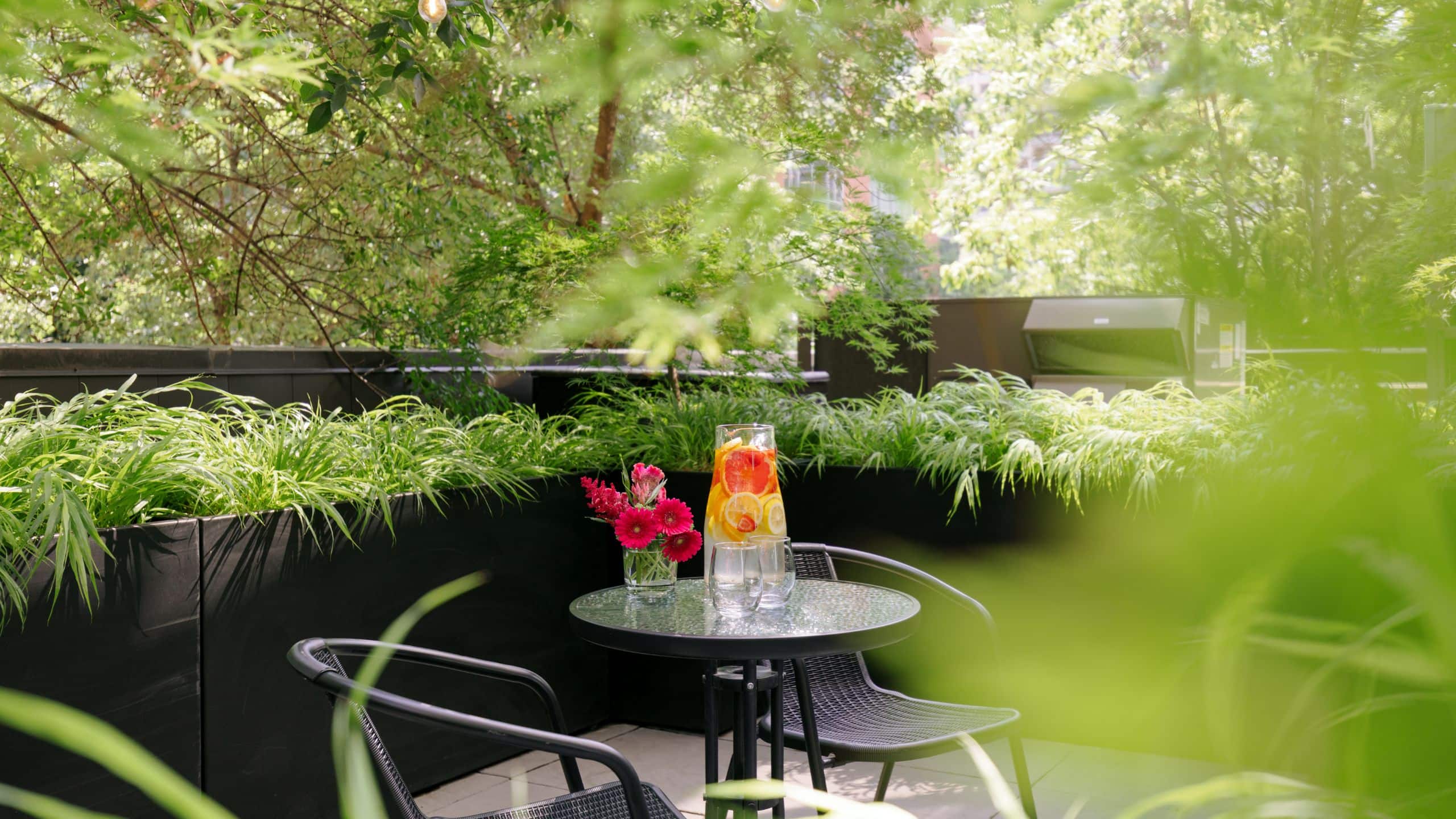 The Anndore House The Apartment Suite Terrace