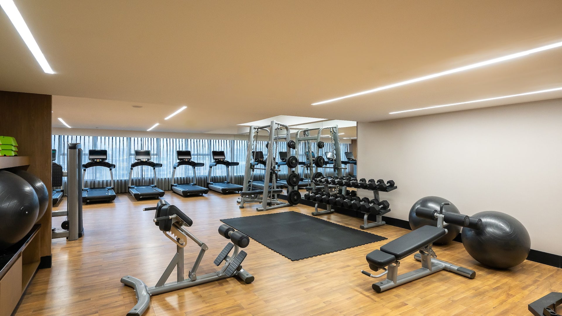 Hyatt Regency Nairobi Westlands Gym Weight Lifting