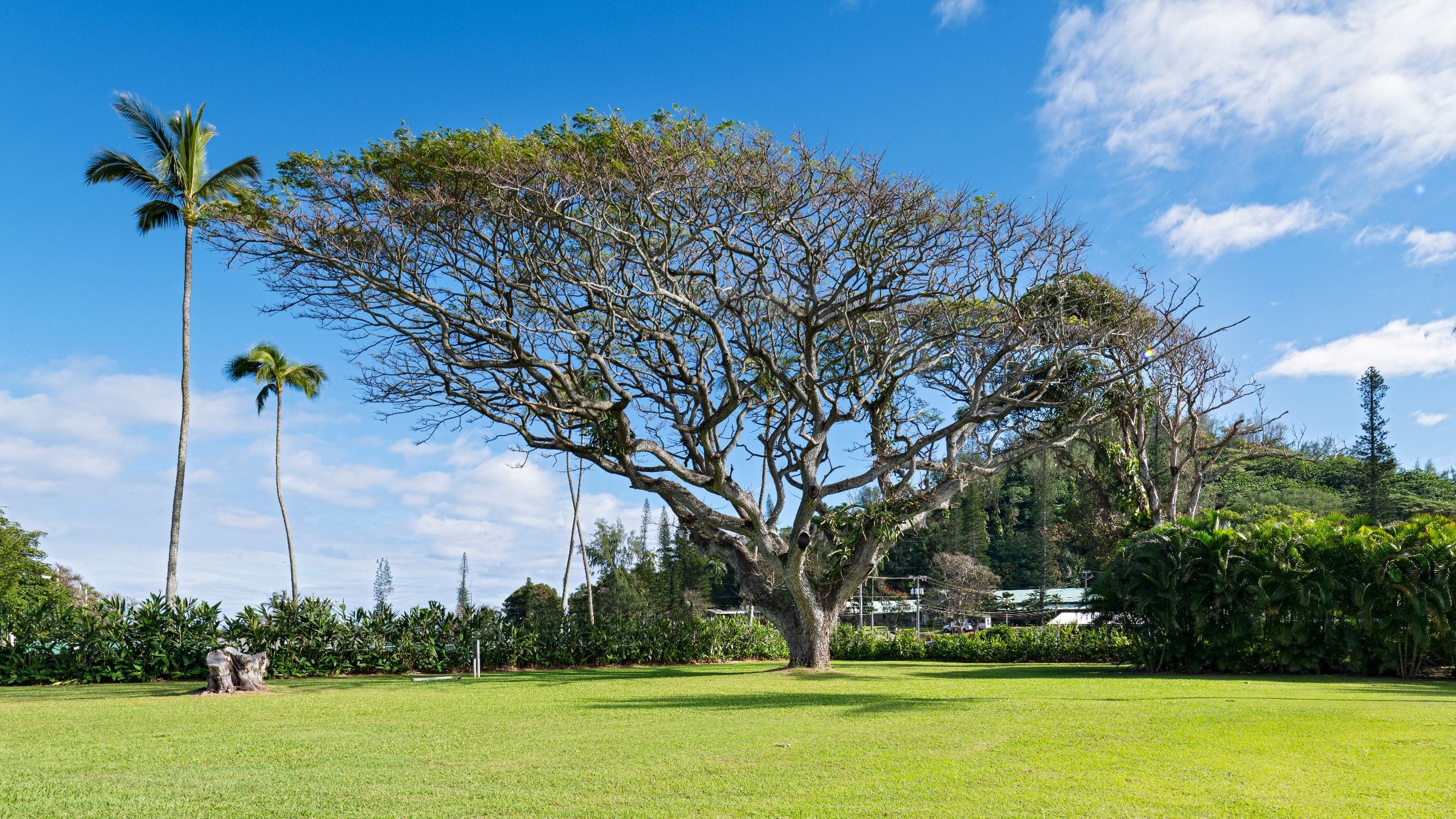 Hana-Maui Resort Wellness Studio Lawn Space
