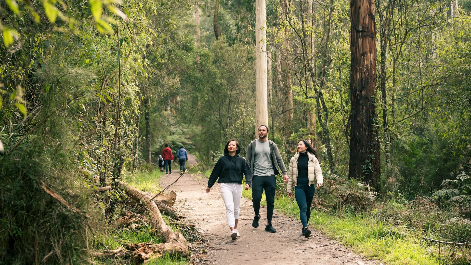 Hyatt Place Melbourne Caribbean Park Dandenong Ranges