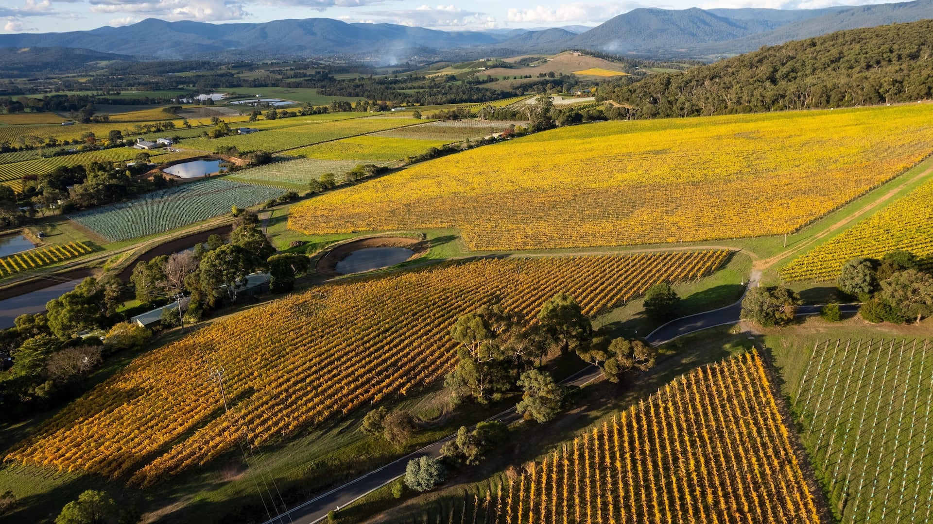 Hyatt Place Melbourne Caribbean Park Yarra Valley