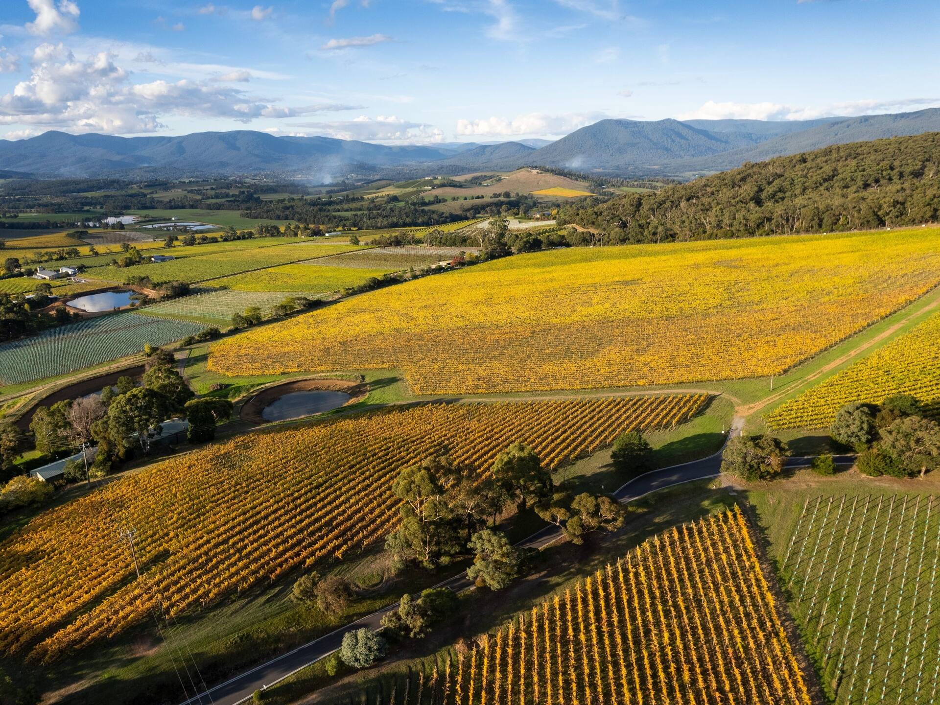 Hyatt Place Melbourne Caribbean Park Yarra Valley