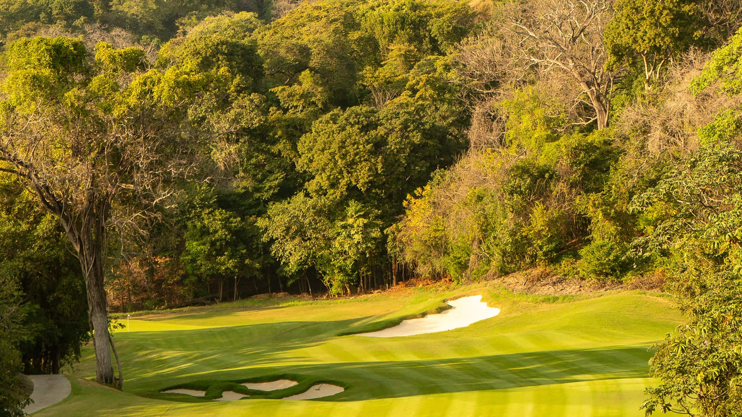 Andaz Costa Rica Resort at Peninsula Papagayo Golf Local Closeup