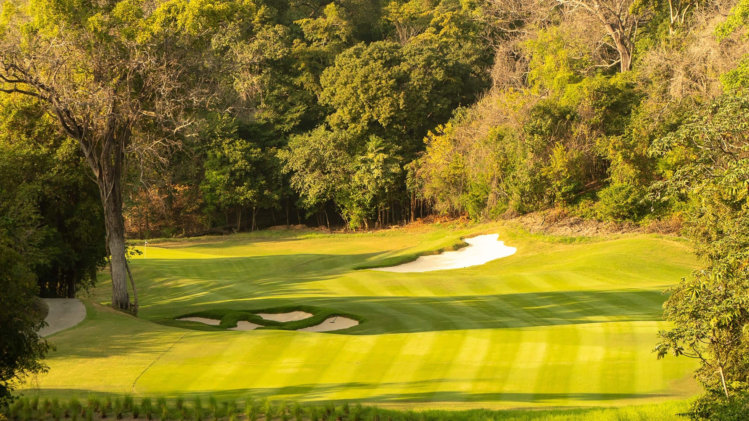 Andaz Costa Rica Resort at Peninsula Papagayo Golf Local Grass