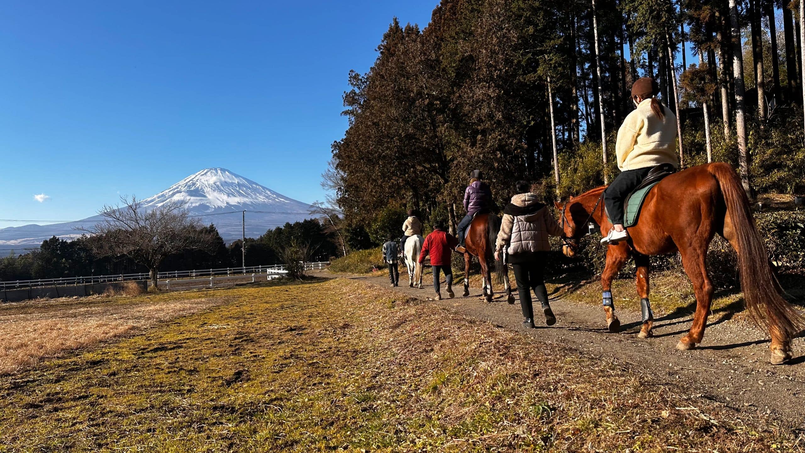 Fuji Speedway Hotel Okamoto Horse Riding Mount Fuji Trees Backside