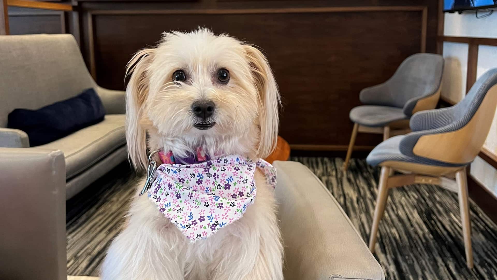 Hyatt Place San Juan Pet Friendly Business Center