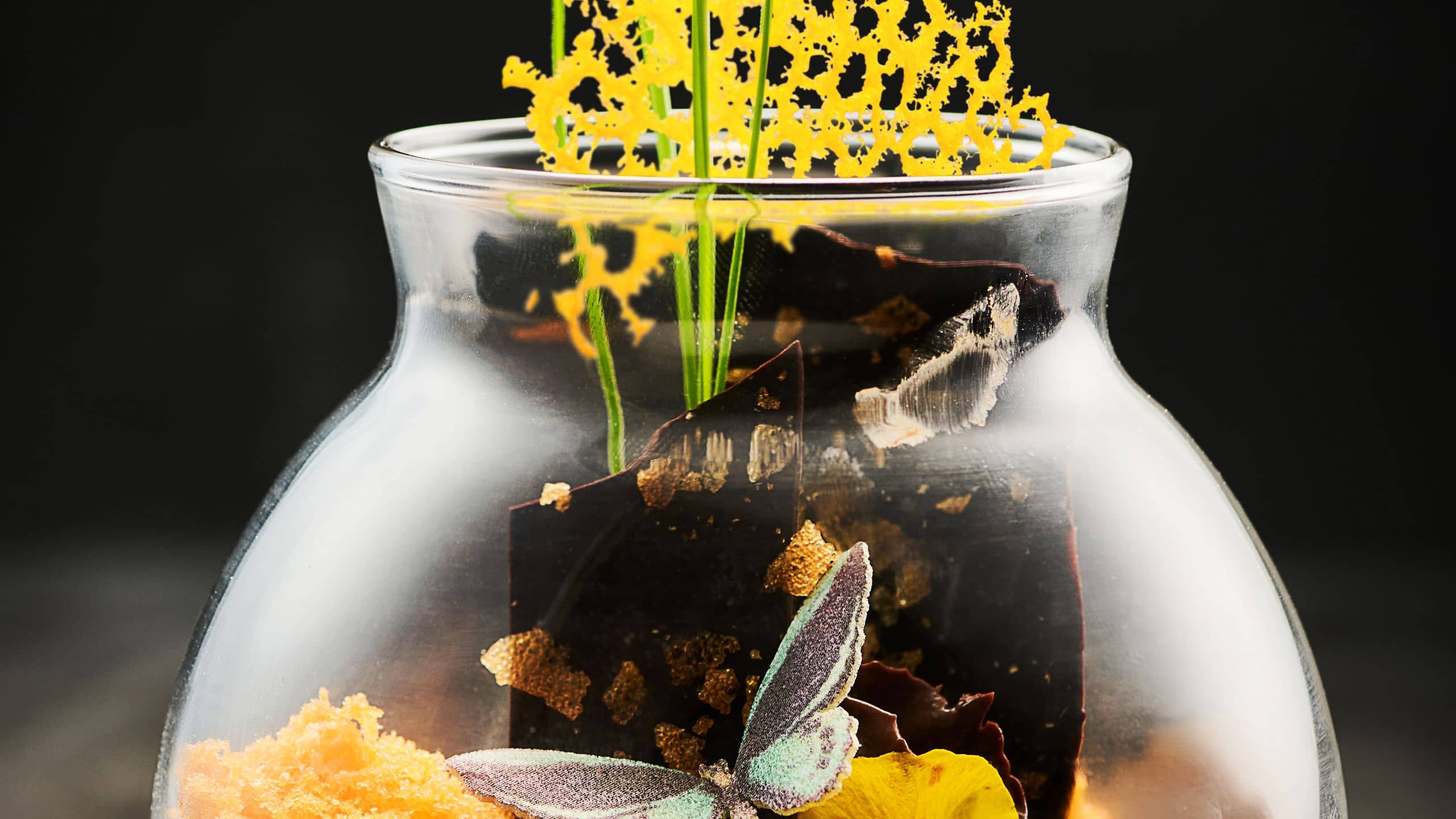 Park Hyatt Chennai Chocolate Terrarium