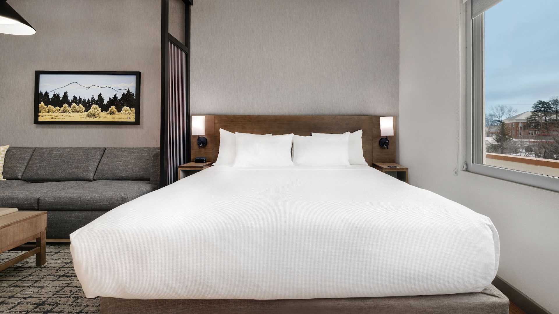 3 de 11 Hyatt Place Flagstaff King Bed And Sofa Bed