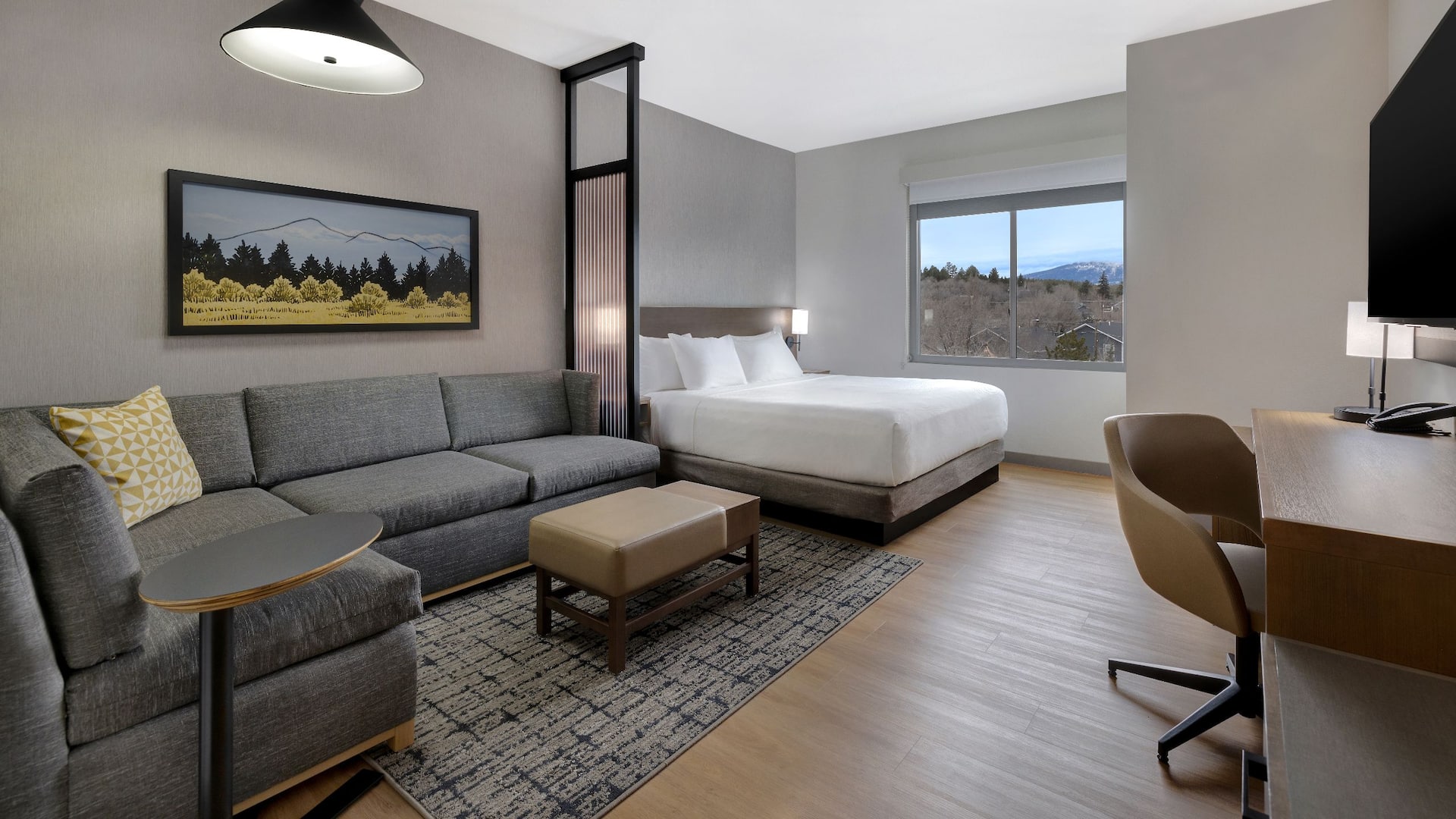 Hyatt Place Flagstaff Standard King And Sofa Bed