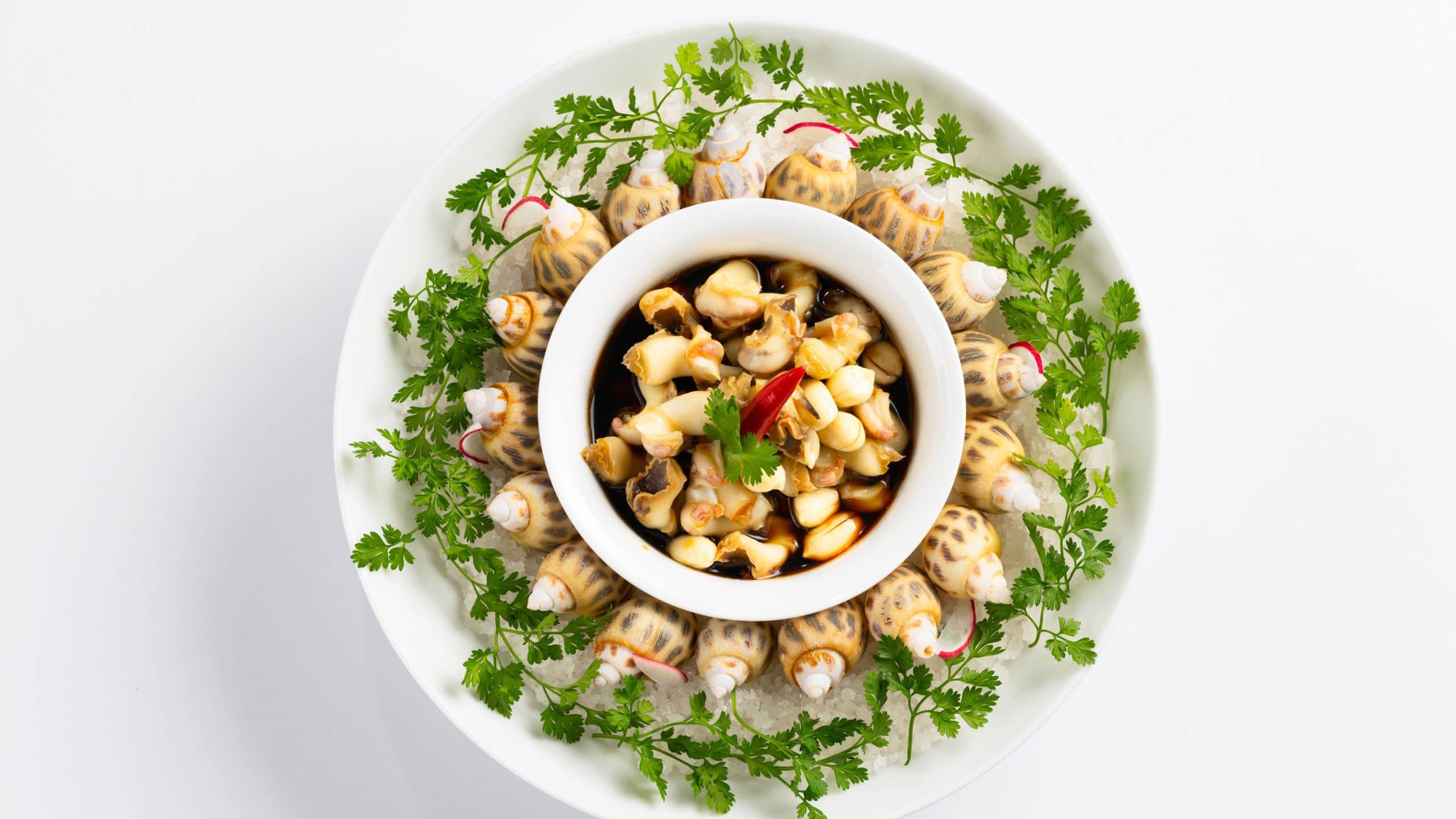 Park Hyatt Guangzhou Marinated Whelk Peanuts Black Vinegar Detail