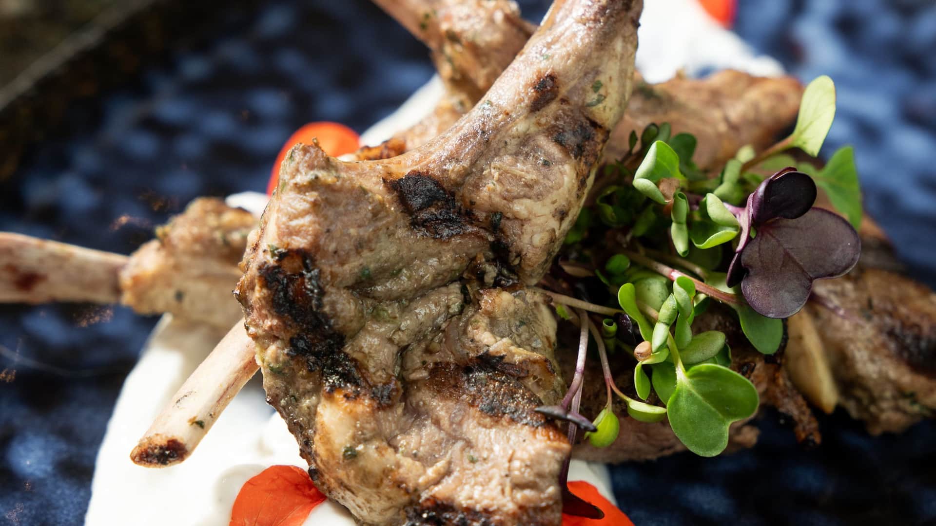 Grand Hyatt Atlanta in Buckhead Lamb Chops