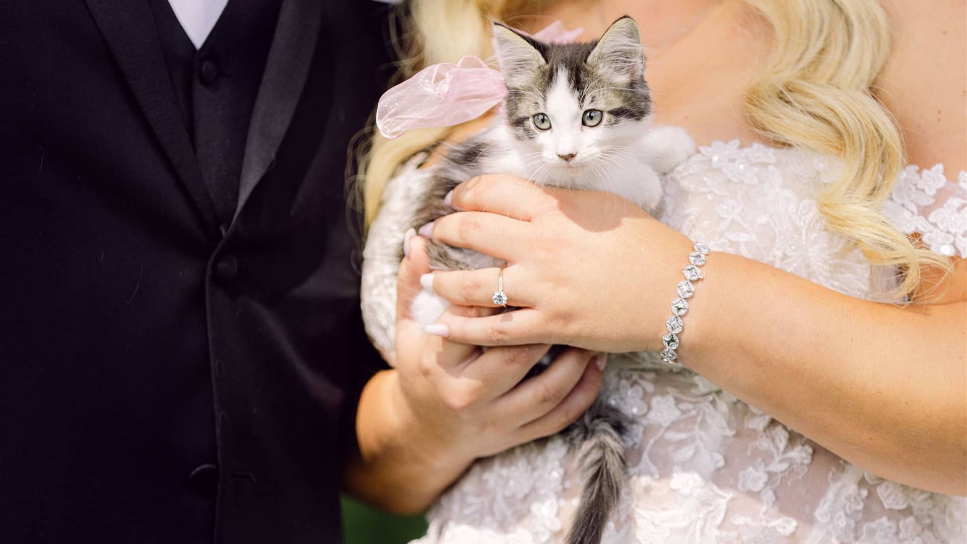 Hyatt Regency Lake Tahoe Resort, Spa and Casino Bride And Groom With Kitten
