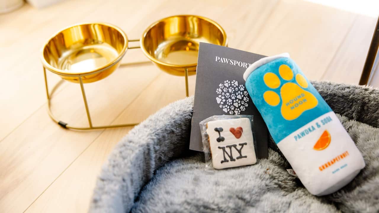 Pets Love Travel