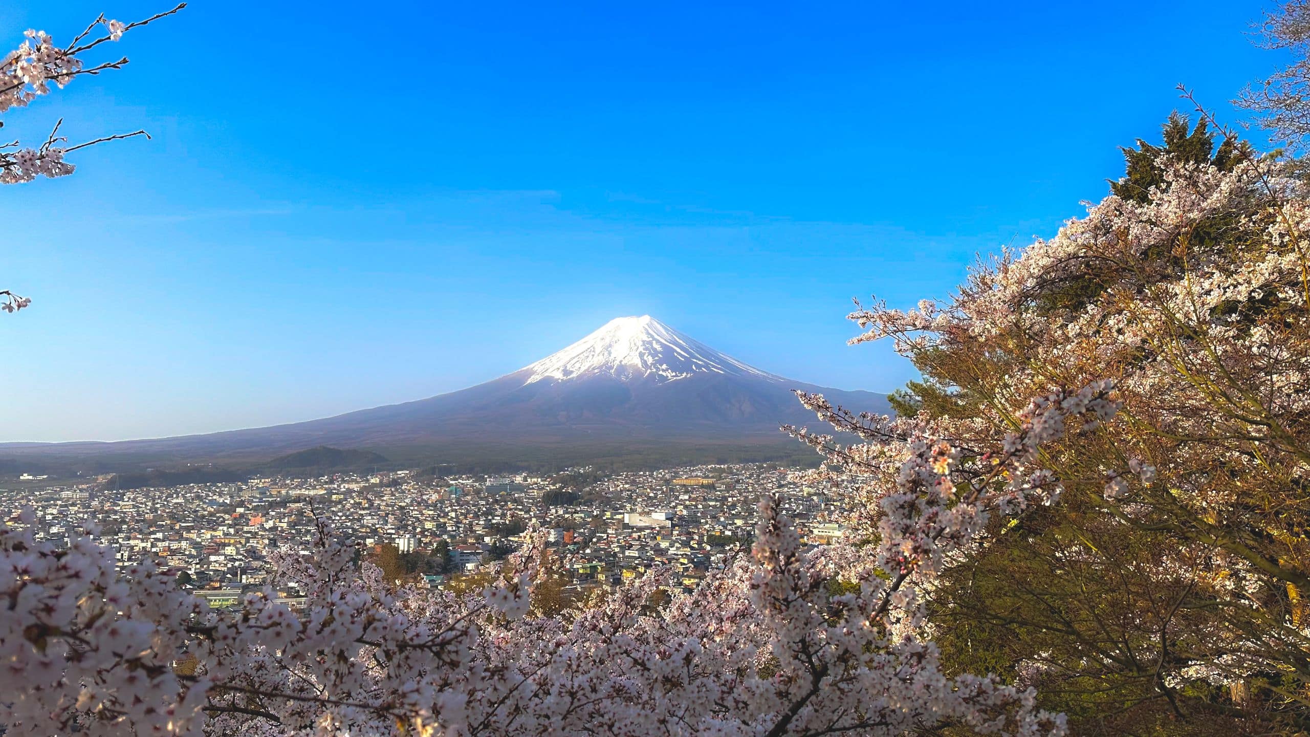 Fuji Speedway Hotel Chureito Pagoda Spring Sakura