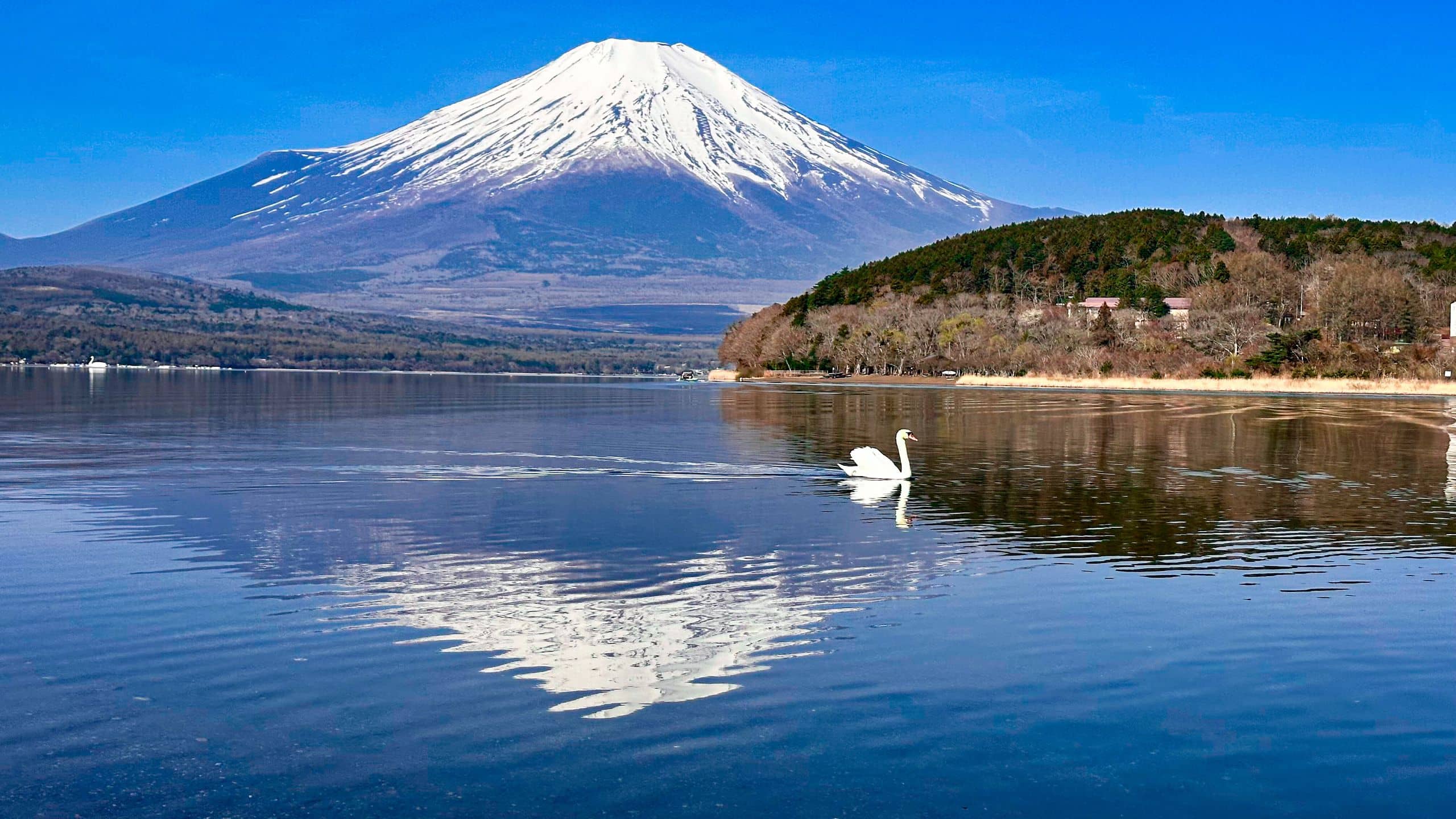 Fuji Speedway Hotel Hirno No Hama With Swan