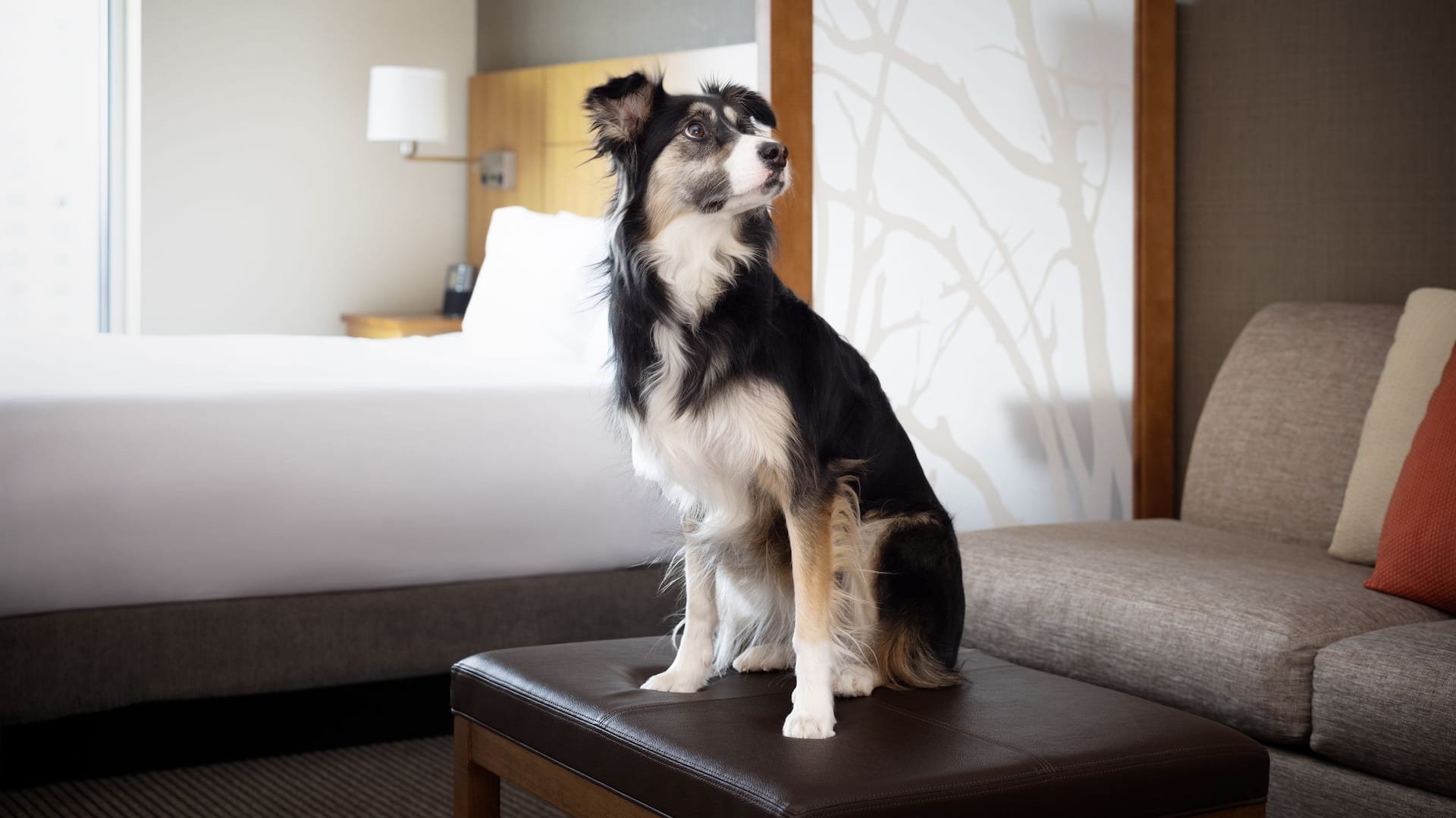 Hyatt Place Denver/Downtown Eight Eight One Three