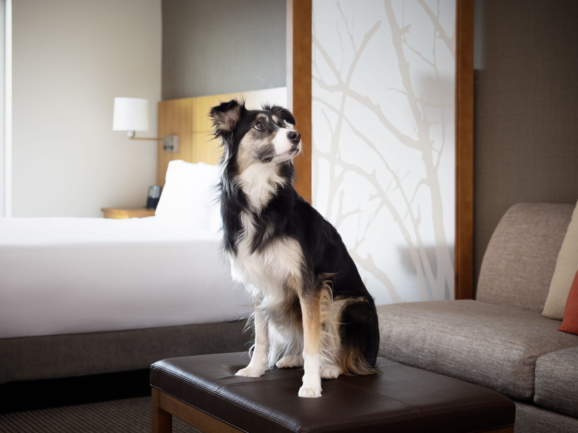 Hyatt Place Denver/Downtown Eight Eight One Three