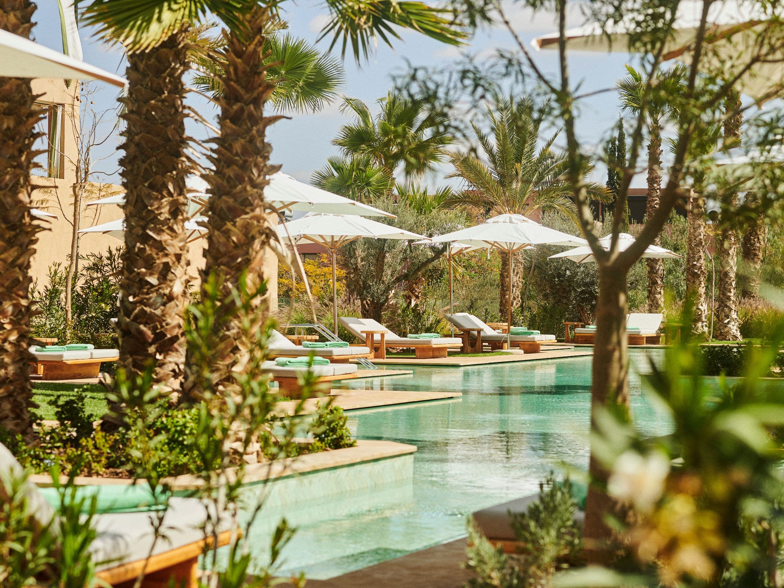 Park Hyatt Marrakech Oasis Pool Outside Vegetation