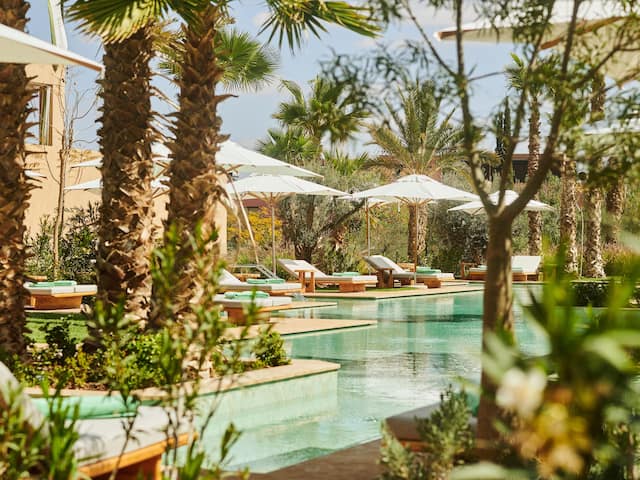 MARPH Oasis