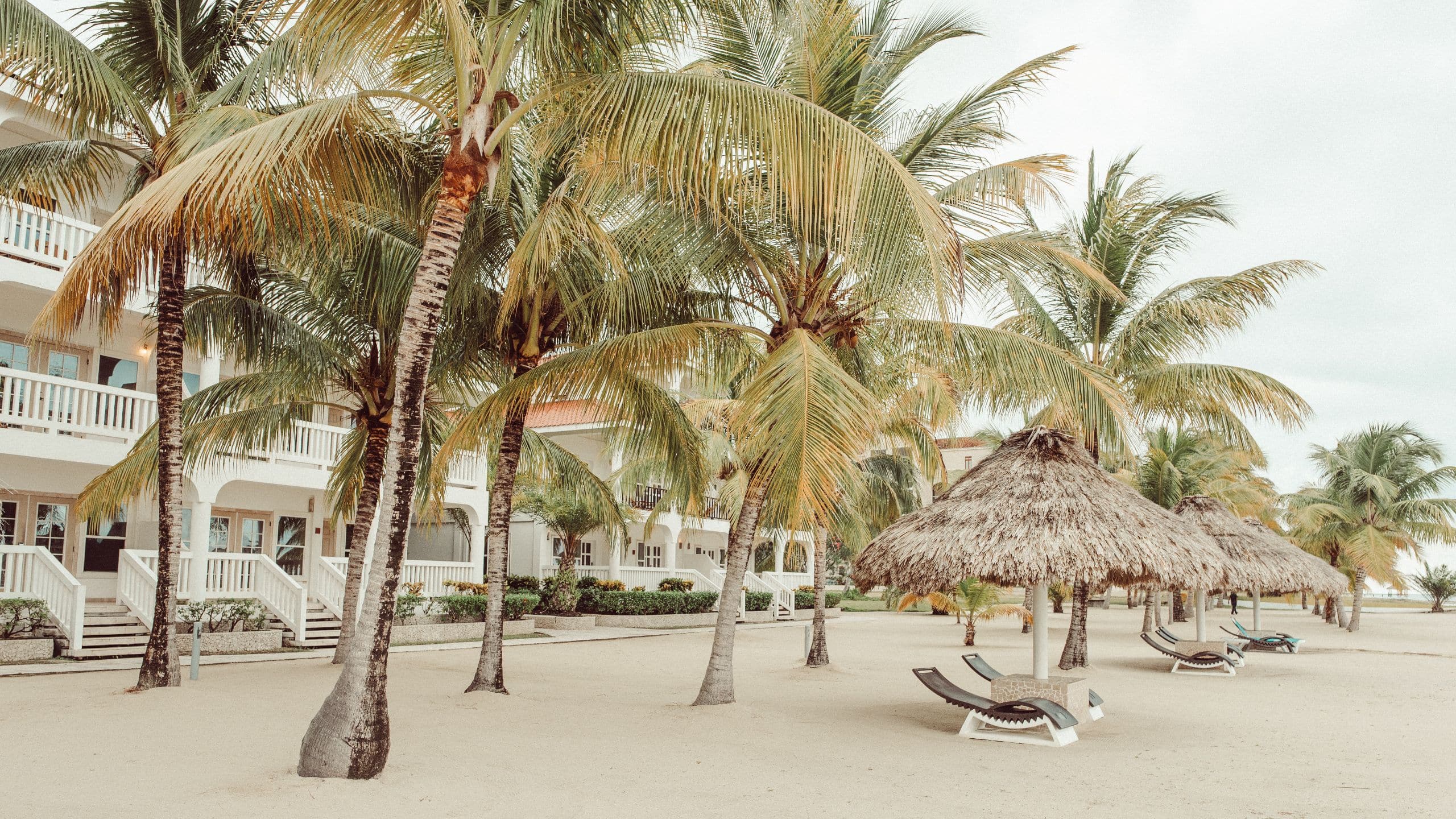 Placencia Resort Beach And Lounge Chairs