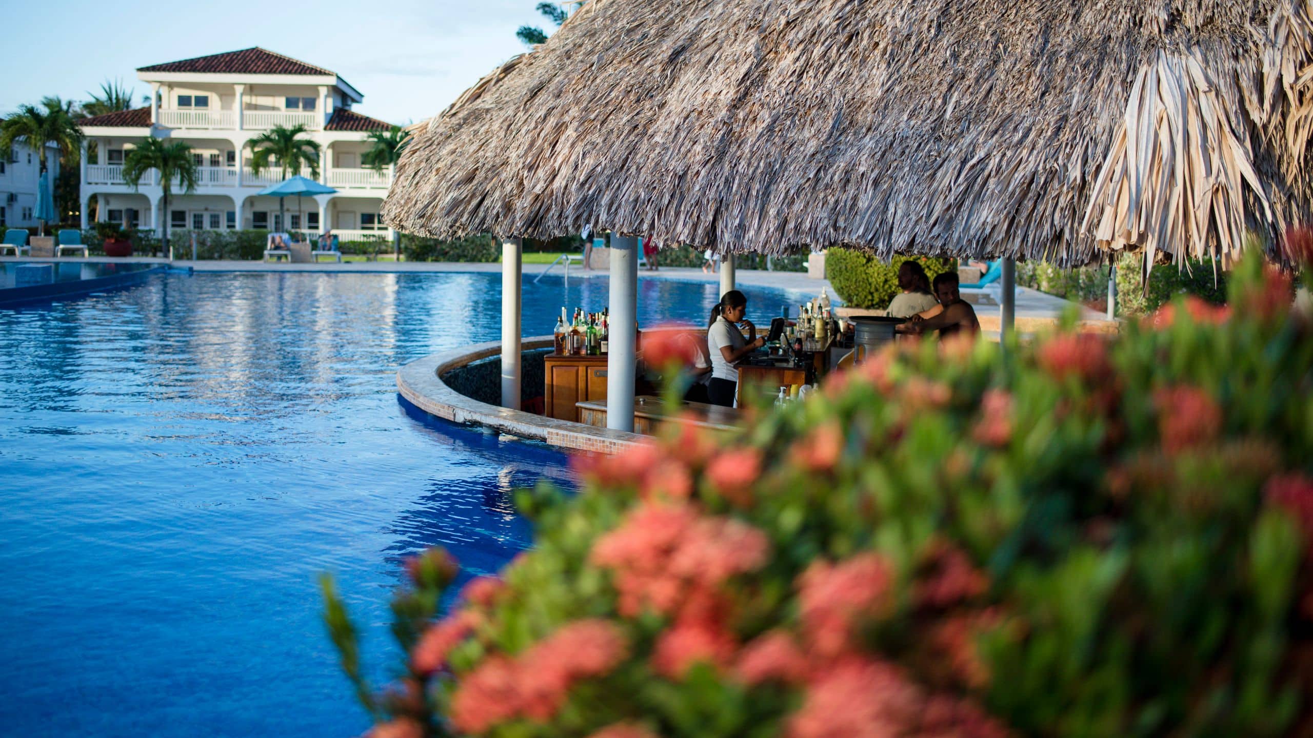 Placencia Resort Pool Bar Daytime