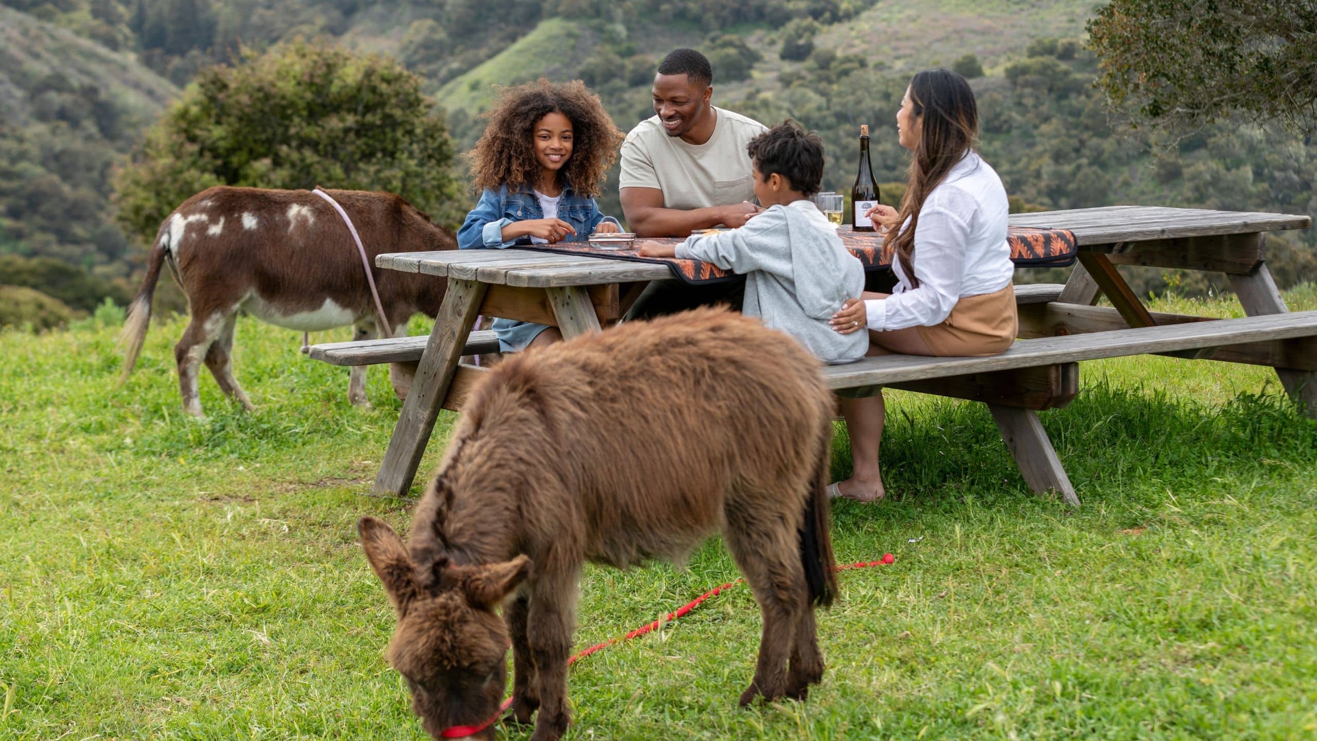 Carmel Valley Ranch Activities Hilltop Family Picnic Donkey