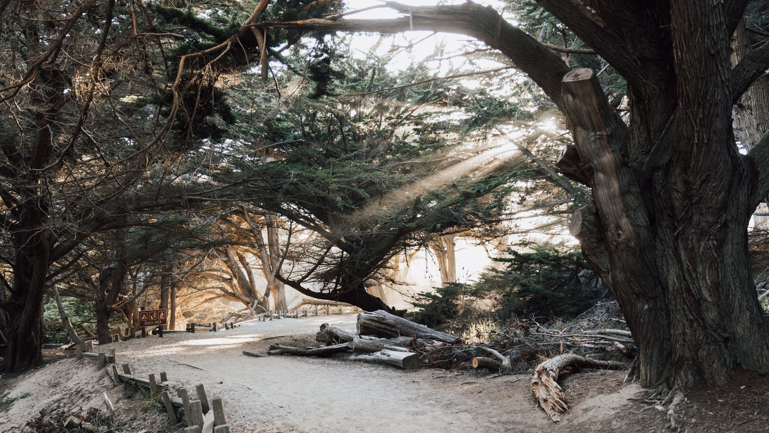 Alila Ventana Big Sur Beach Elopement Path