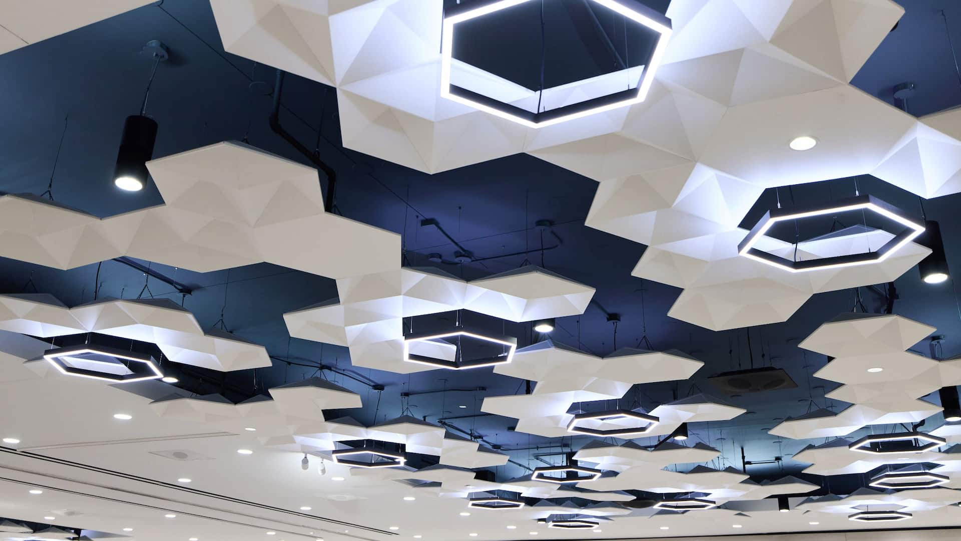 2 of 5 Hyatt Regency Chicago Regency Ballroom Ceiling Detail