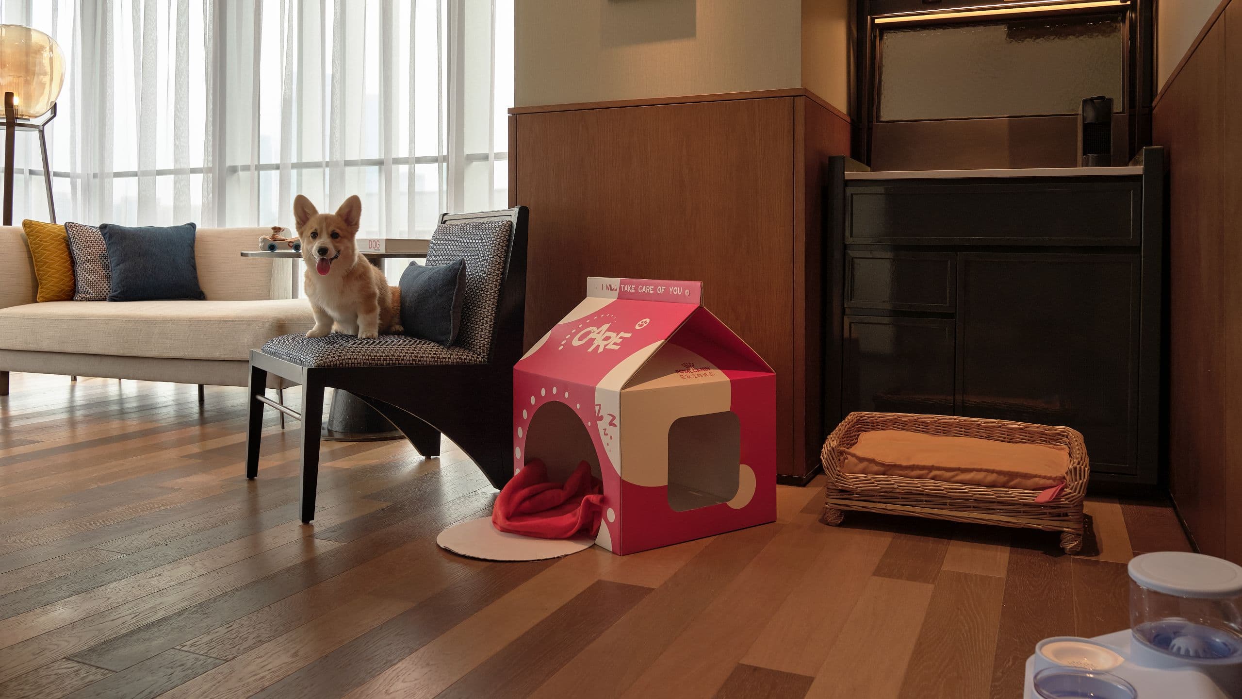 Hyatt Centric Gaoxin Xi’an Pets Room Layout