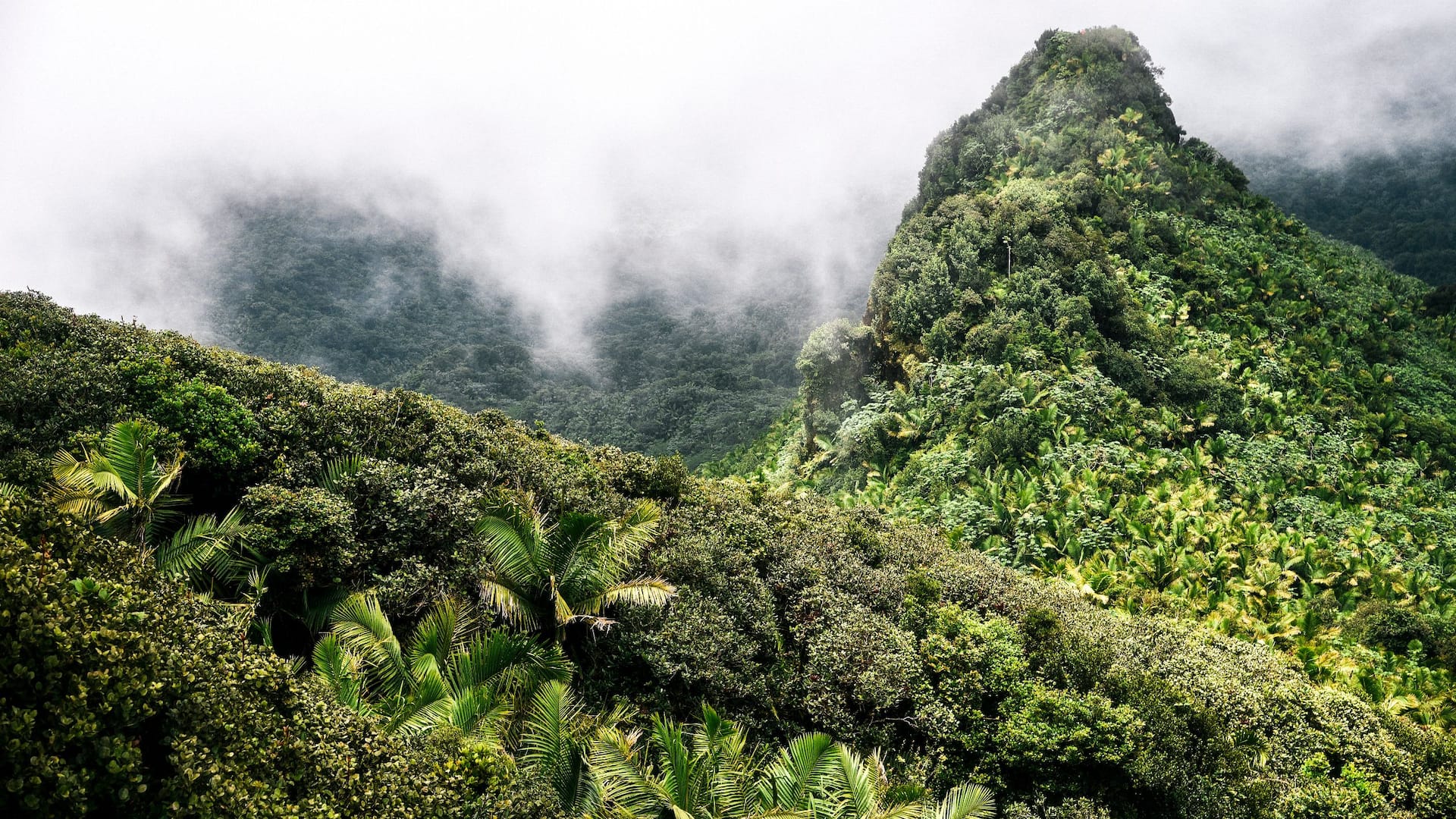 Hyatt Regency Grand Reserve Puerto Rico El Yunque Puerto Rico