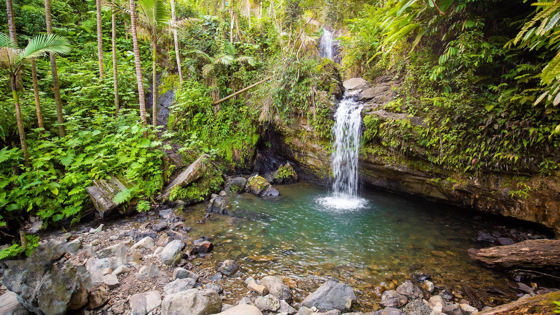 Hyatt Regency Grand Reserve Puerto Rico El Yunque Waterfall Puerto Rico